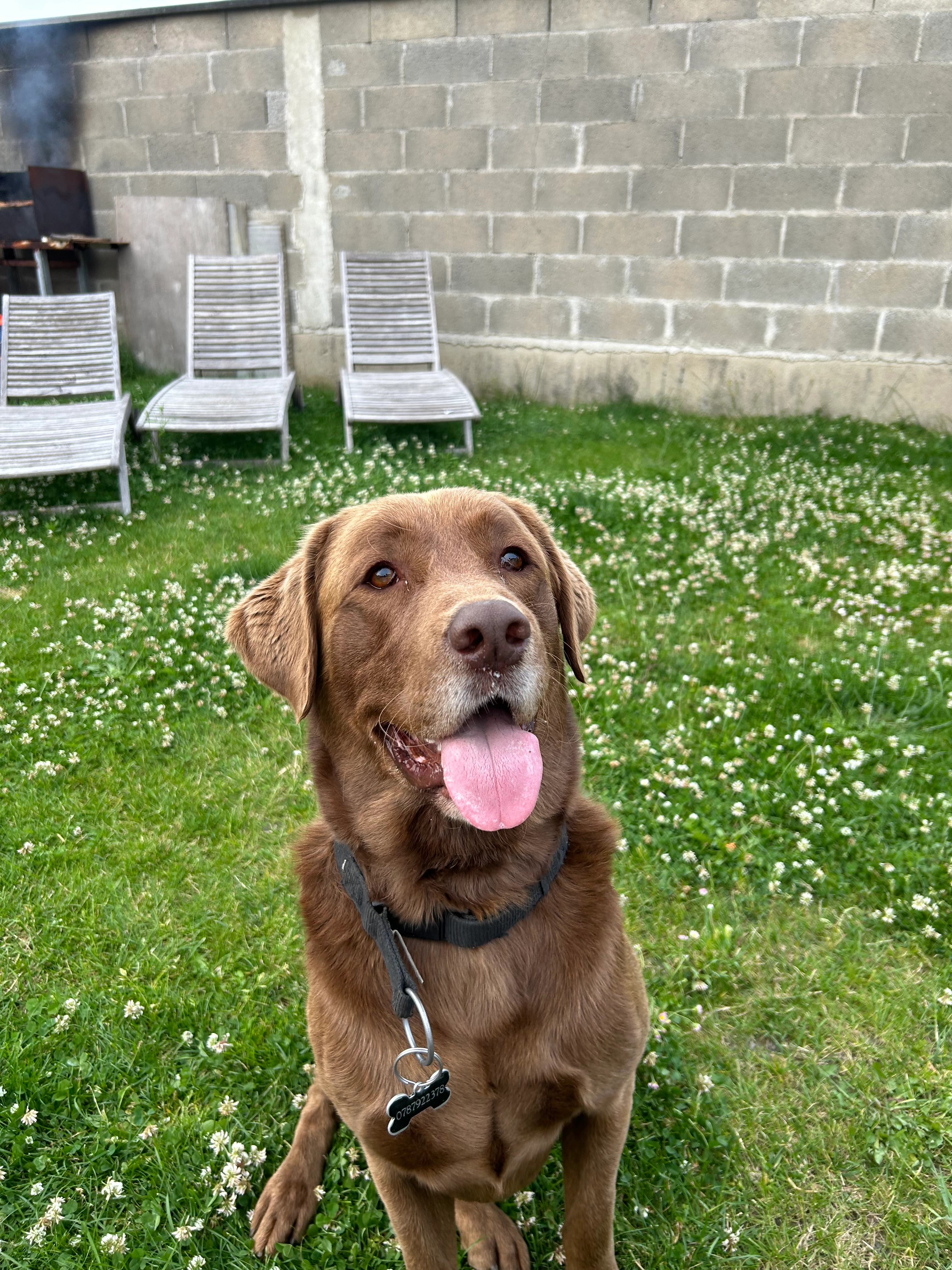 Newton  - 8 Avenue des Grillons, Villeparisis