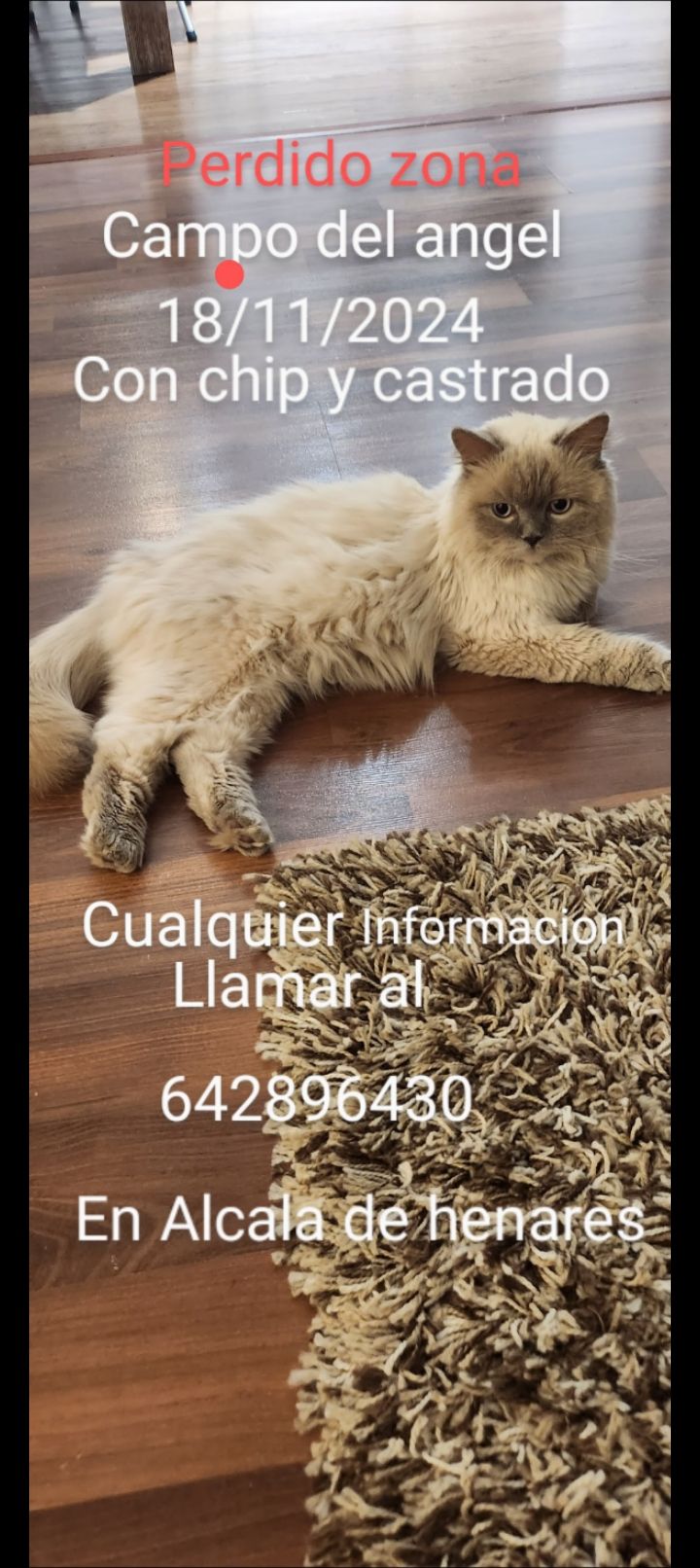 Escoty - Calle de Alalpardo, Alcalá de Henares