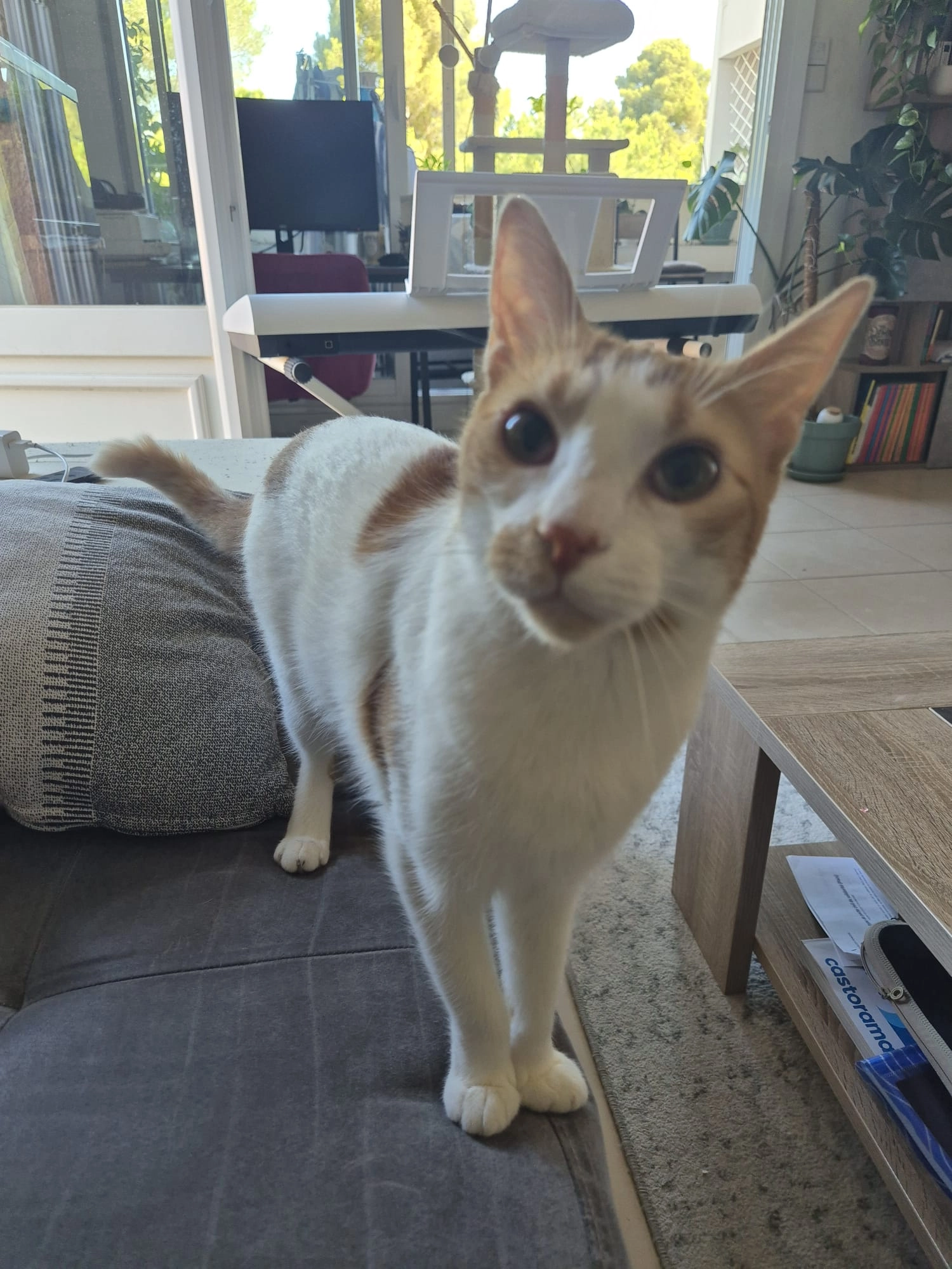 Caramel - Avenue Jean Jaurès, Vitrolles