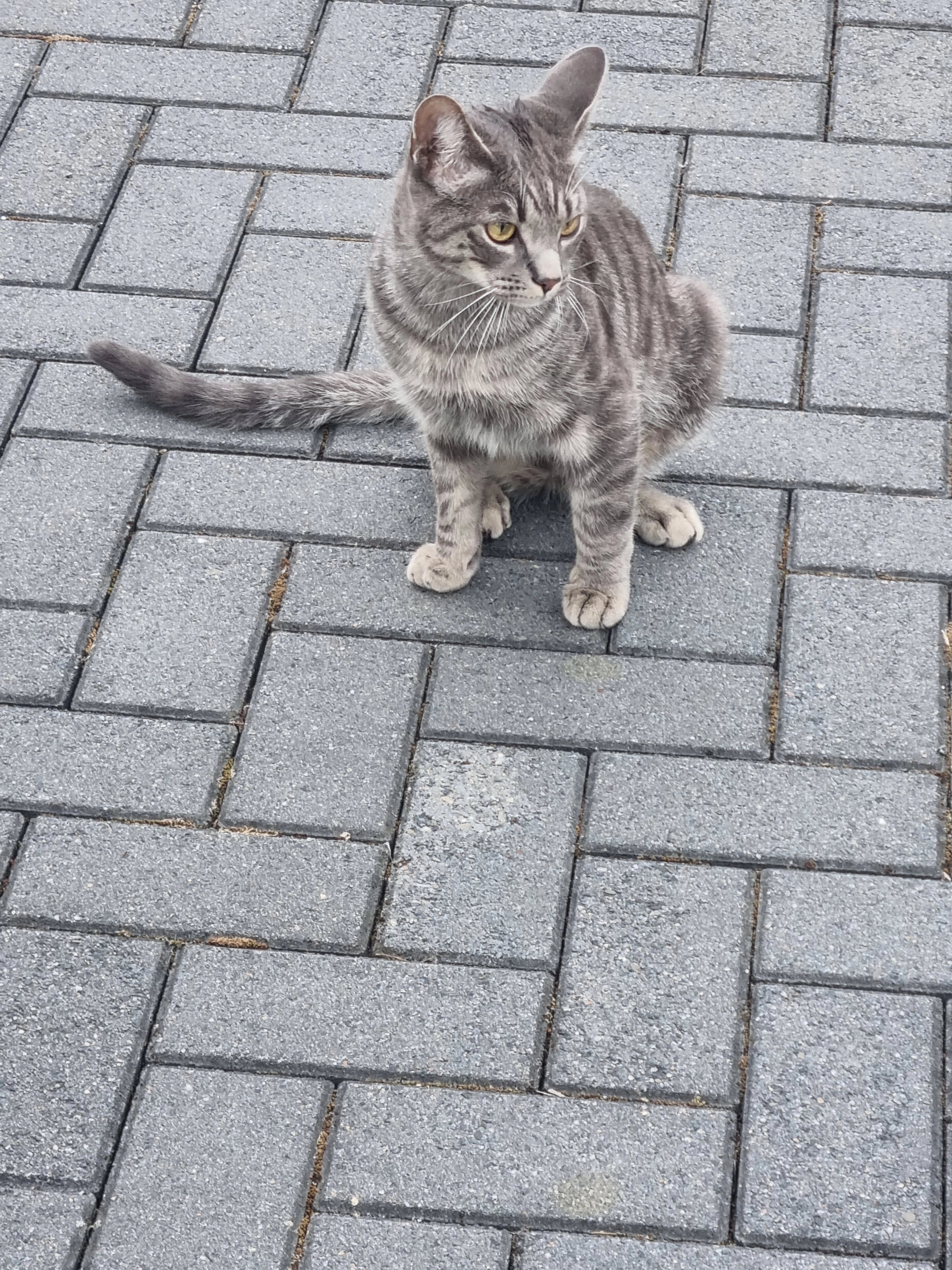 Leo - Fichtenstraße, Bergneustadt