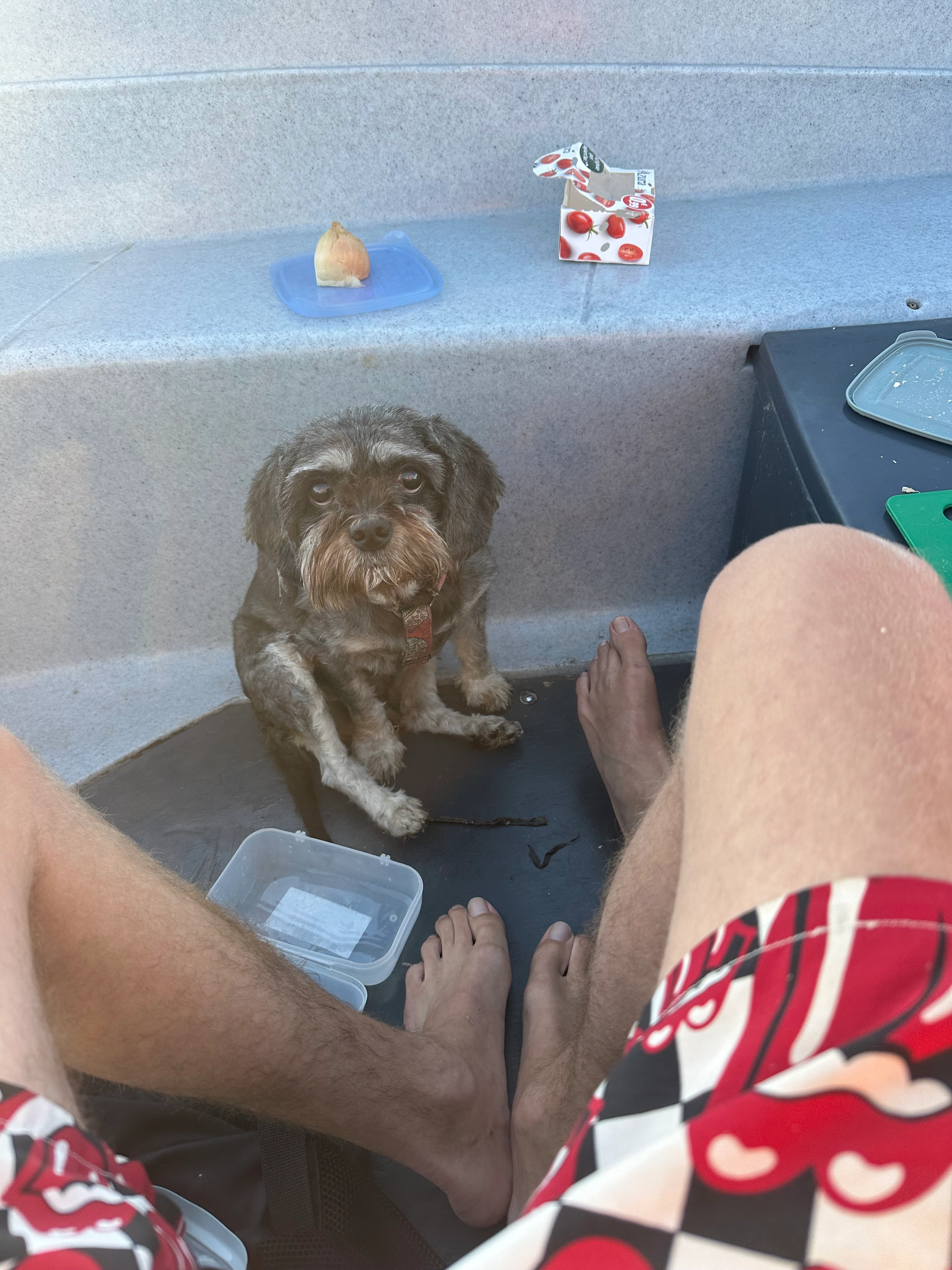 Mozart - 32 Avenue de la Panouse, Marseille