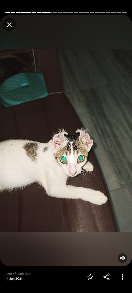 Kuncha - Sodepur Road, Barrackpore