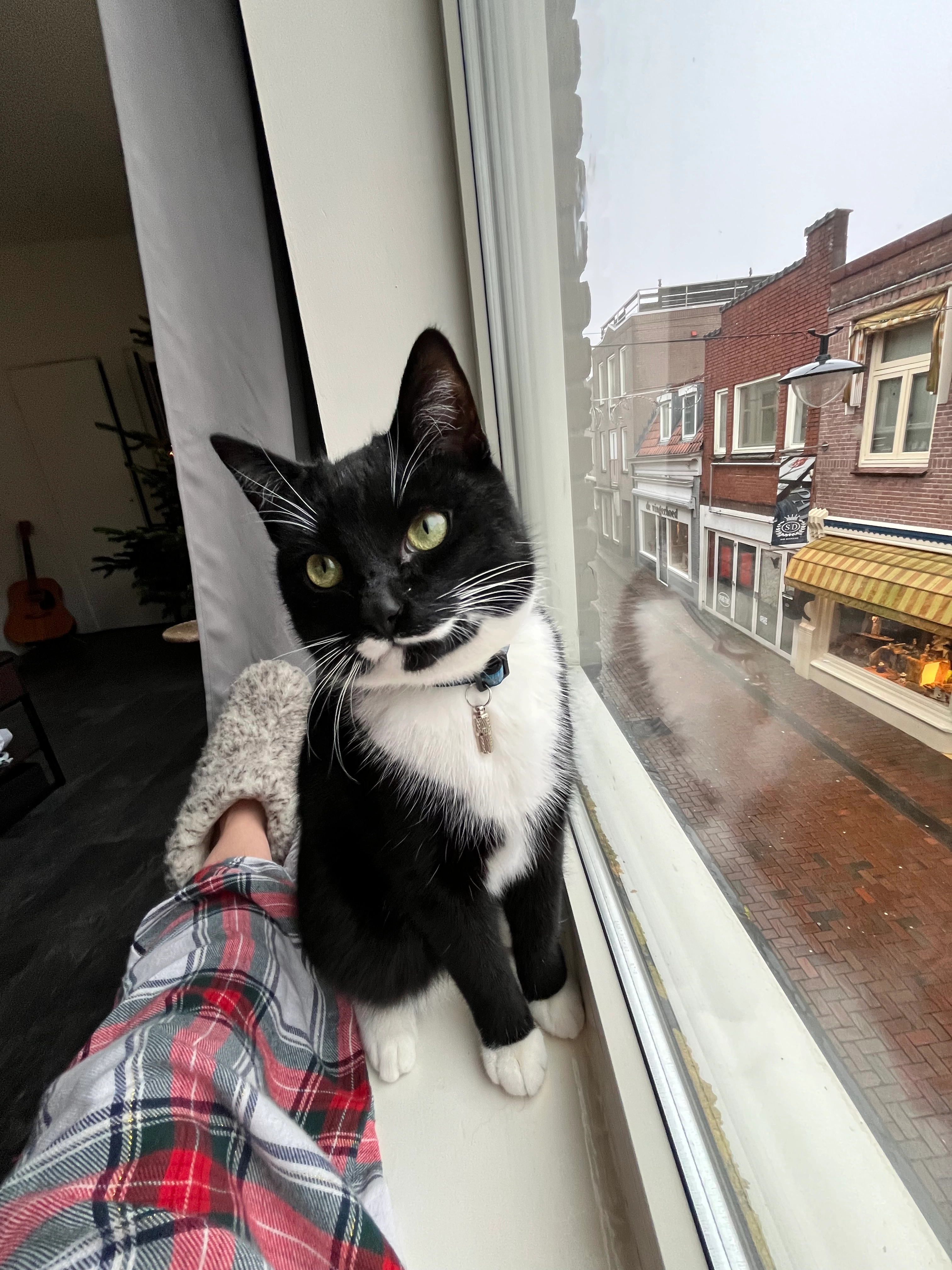 Henri - Lindestraat, Meppel