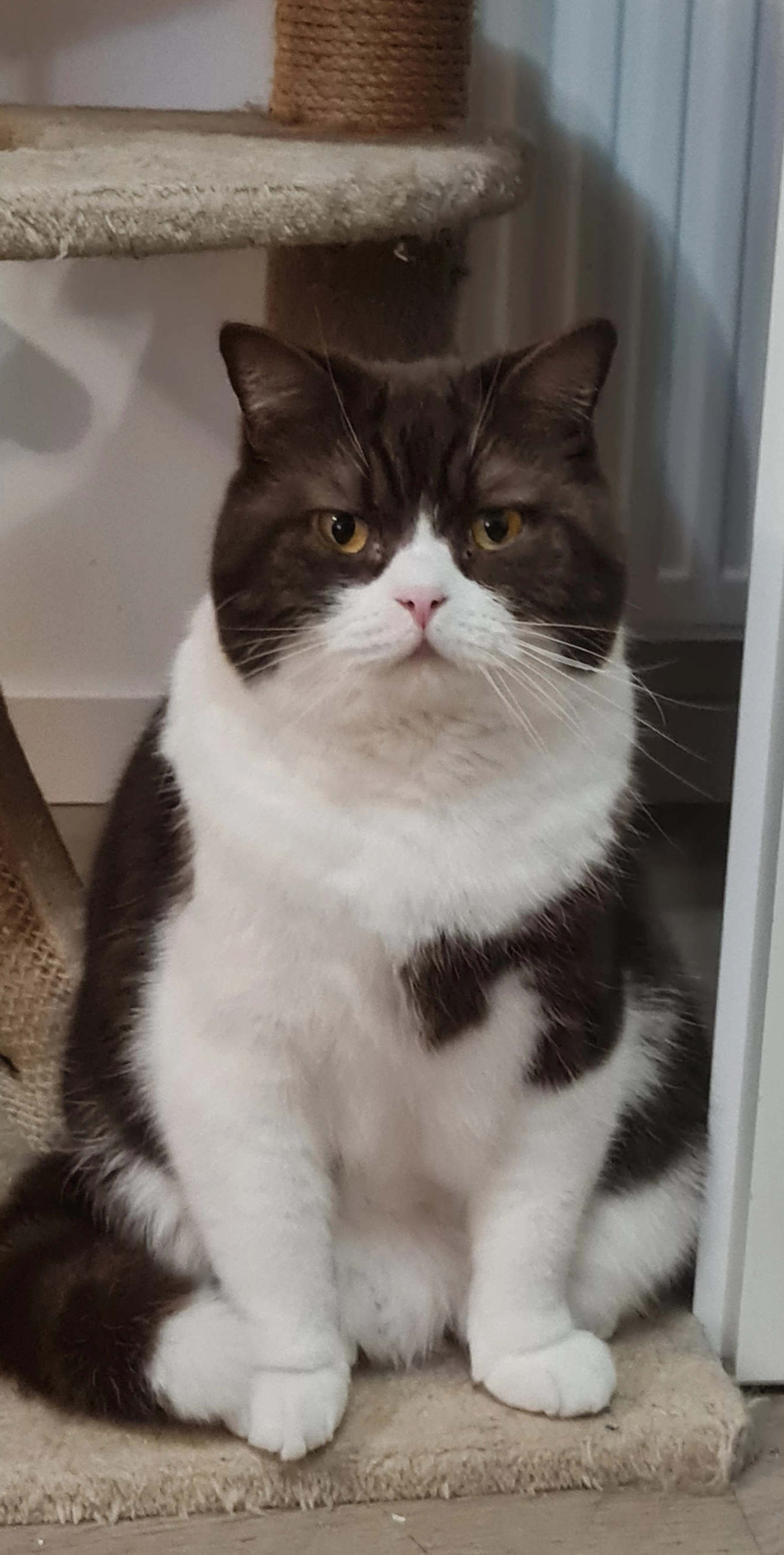 Dungeon - Rue Du Quesnay, Bernières