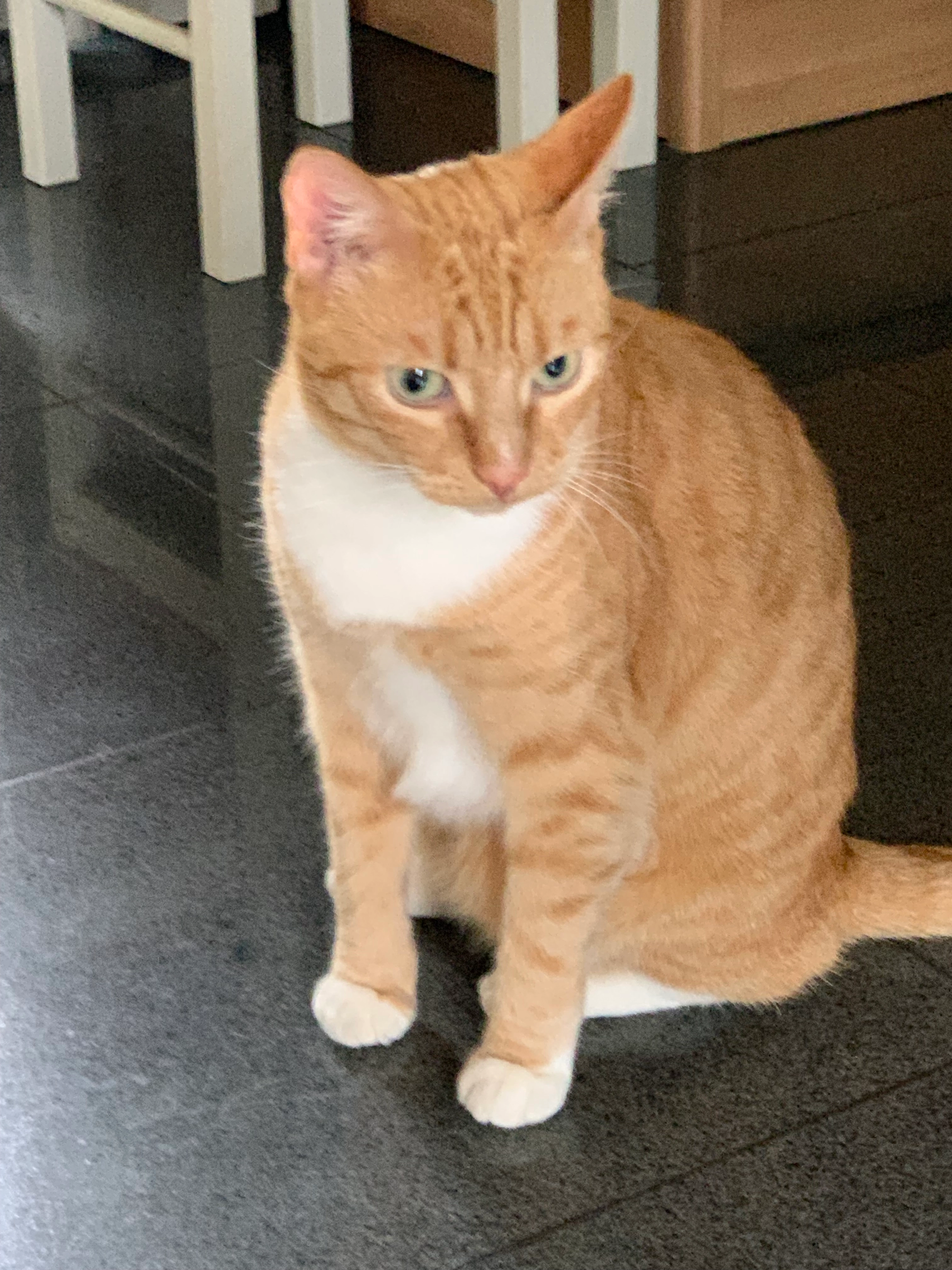 JiJi - Kouterstraat, Huldenberg