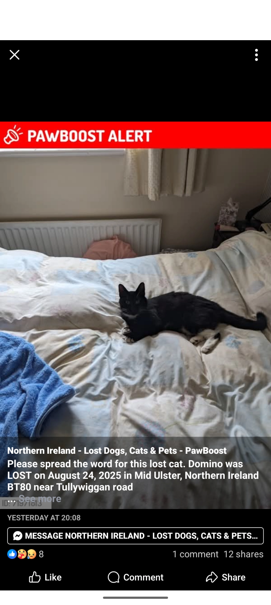 Domino - Tullywiggan Road, Tullywiggan