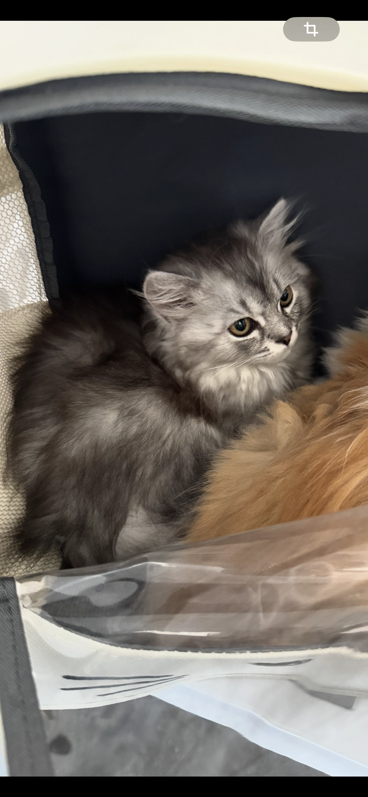 Mya - Rue Des Navigateurs, La Grande-Motte