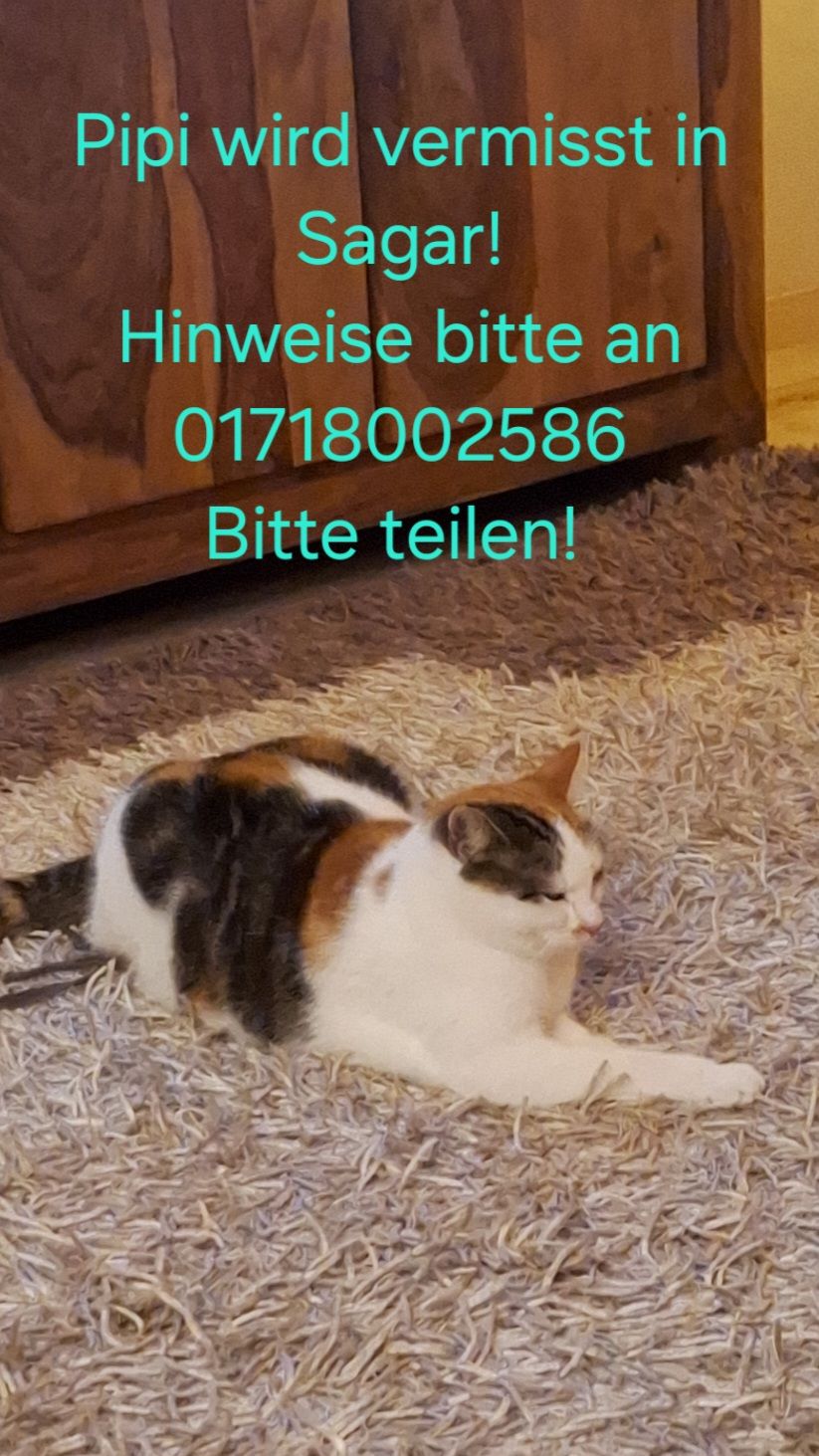 Pipi - Siedlung West 4, Krauschwitz in der Oberlausitz