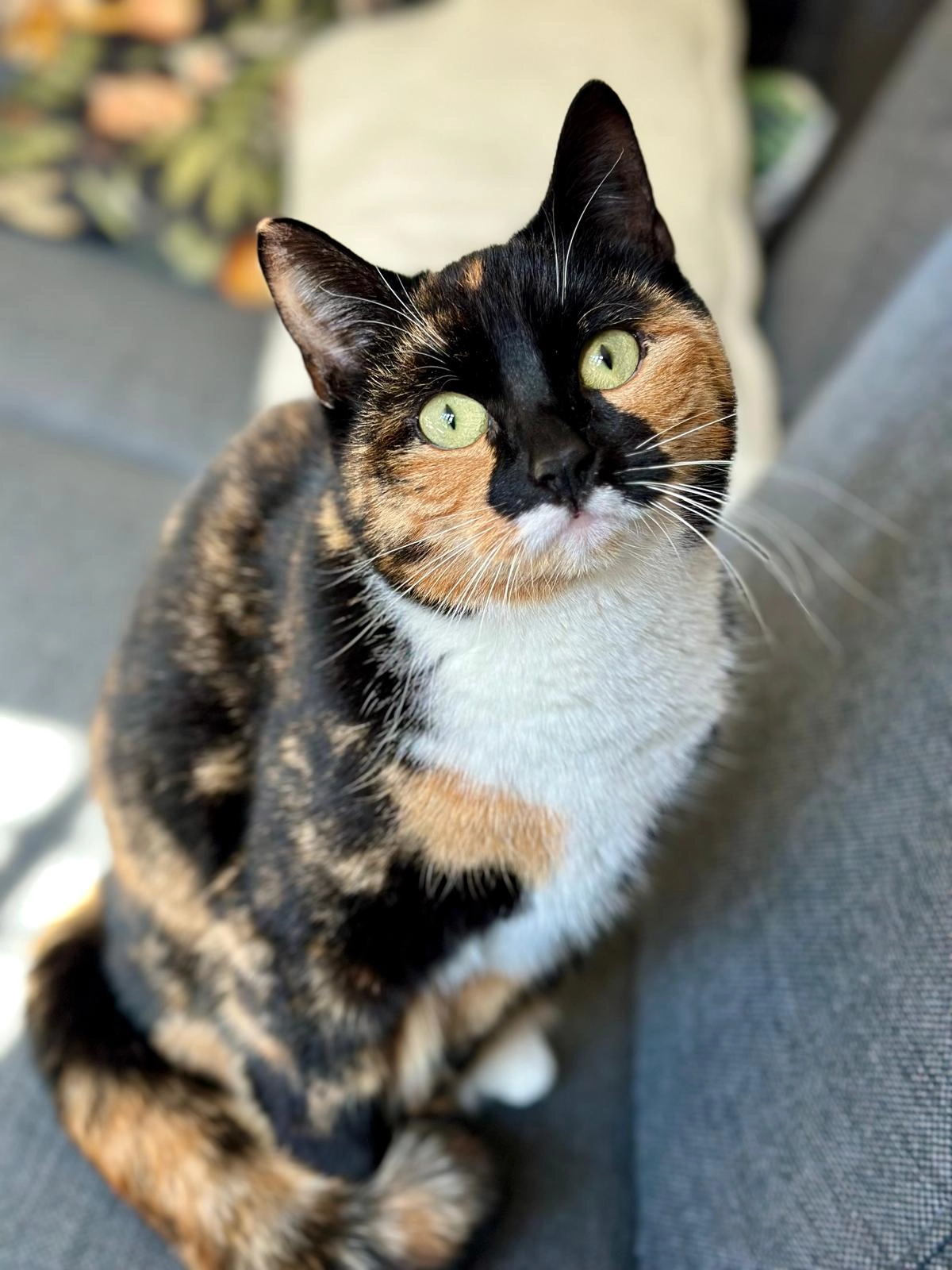 Stip - Auf dem Zuschlag, Wilsum