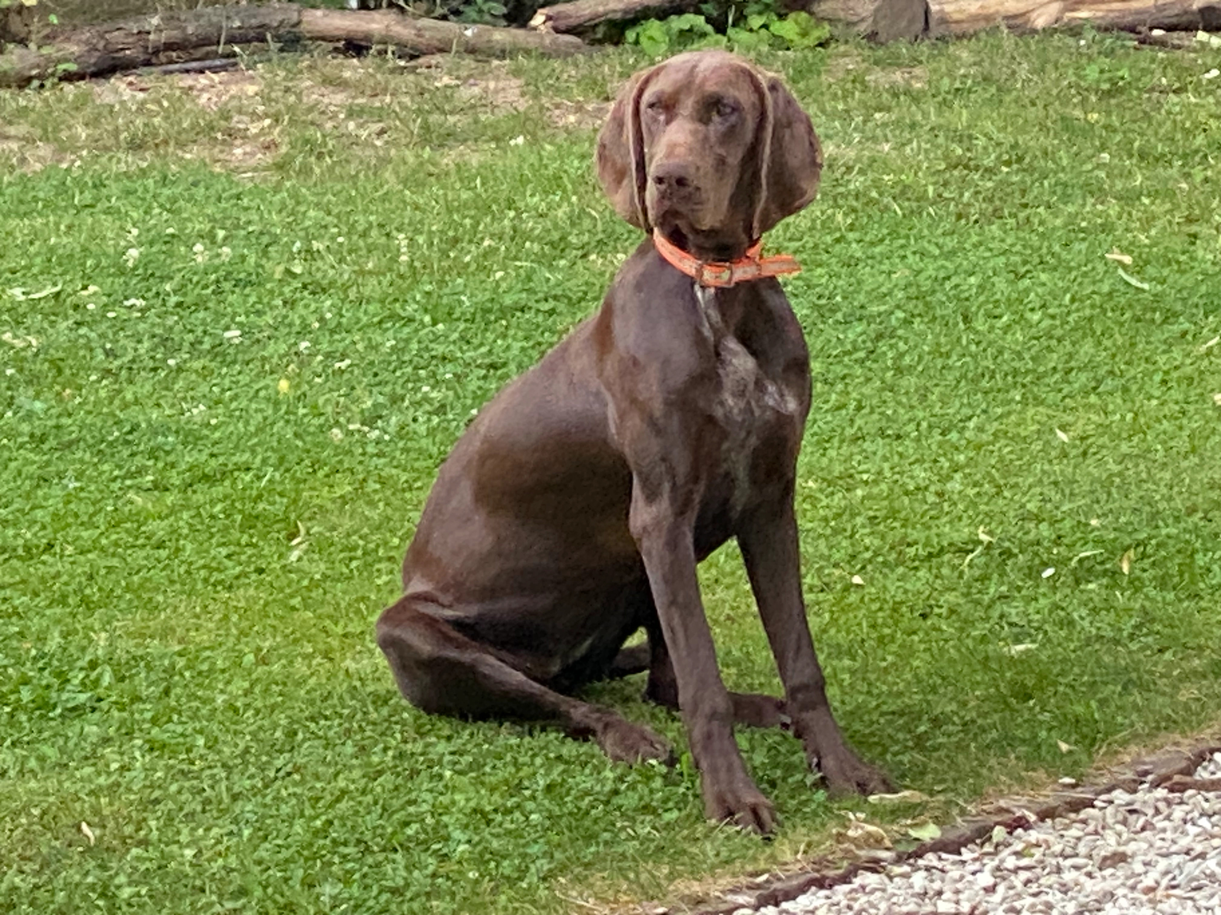 Urka - 99 Allée de l'Ardoise, Olivet