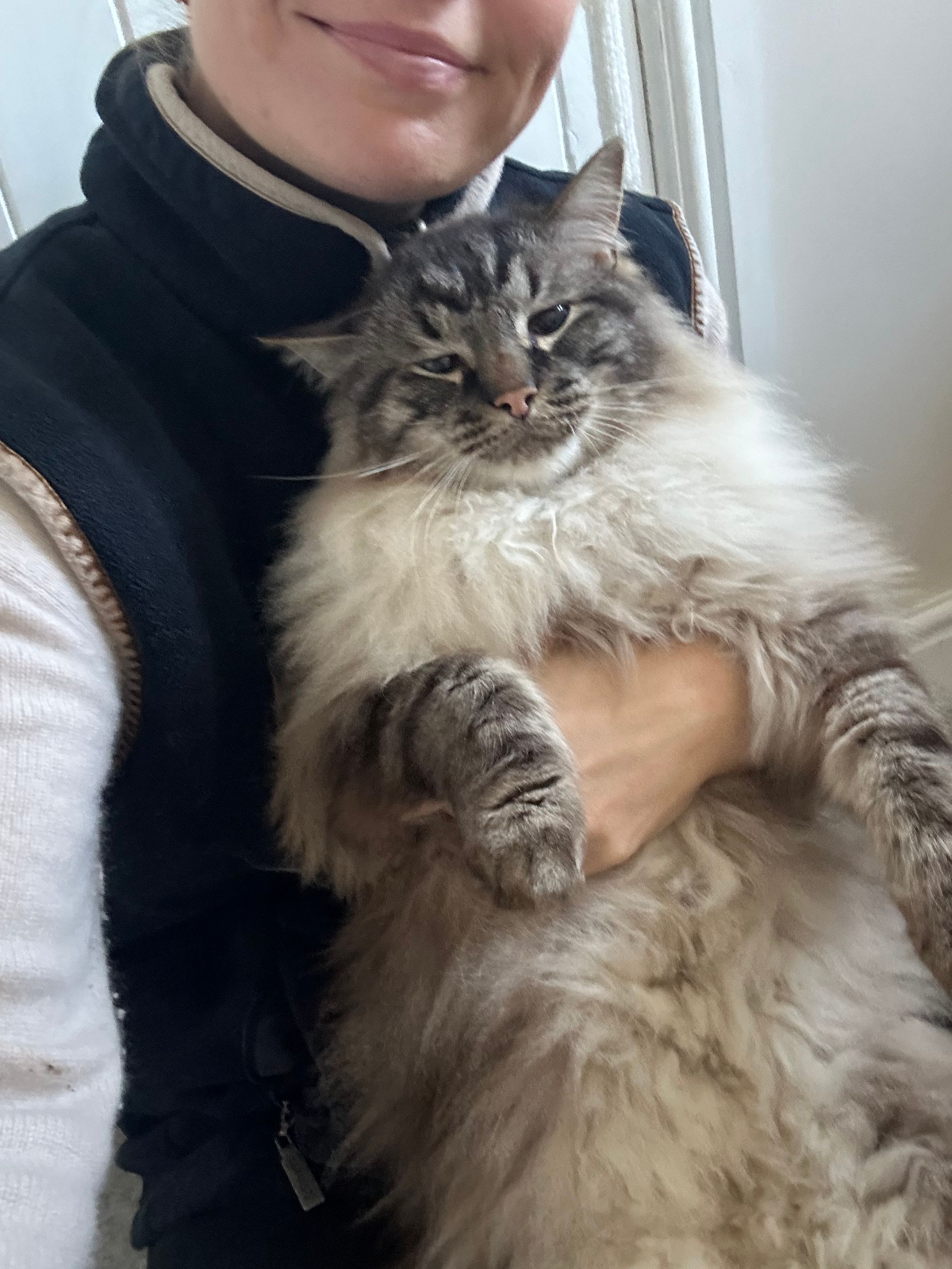 Puff - Cotswold Meadows, Cheltenham