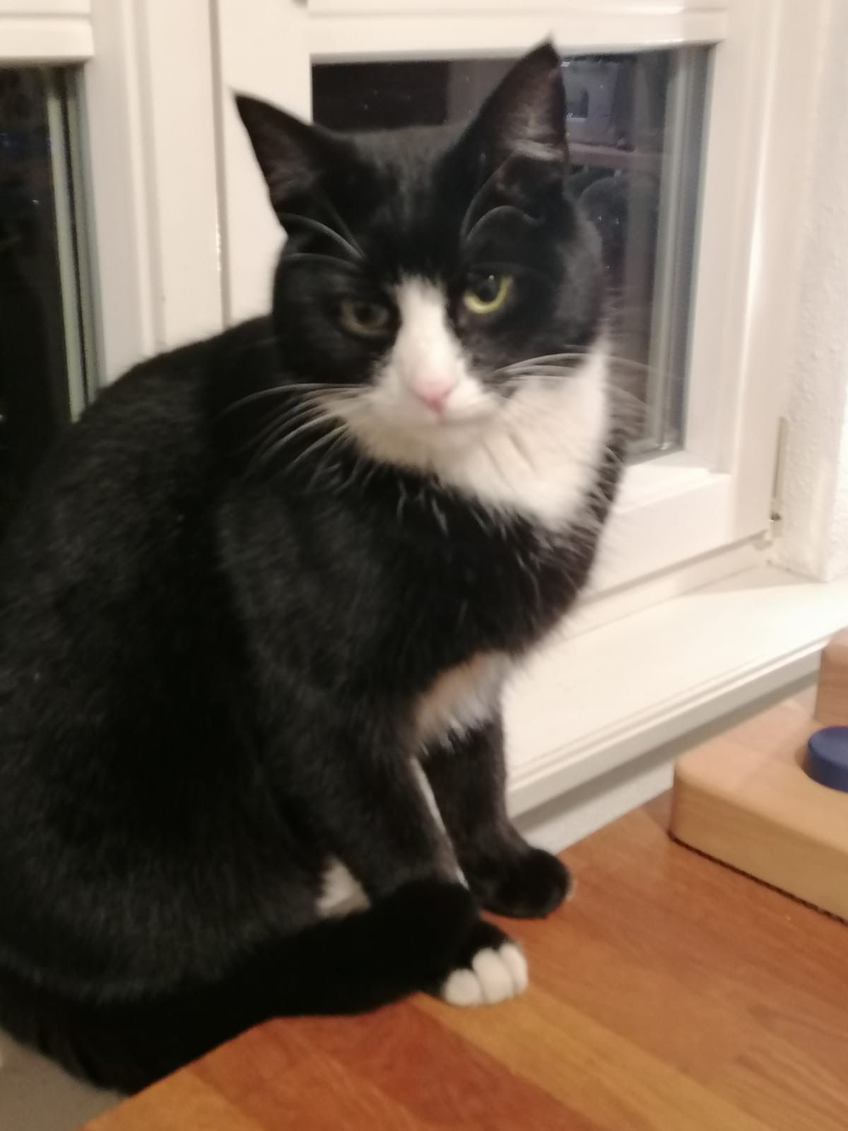 Samo - Jakling, Sankt Andrä