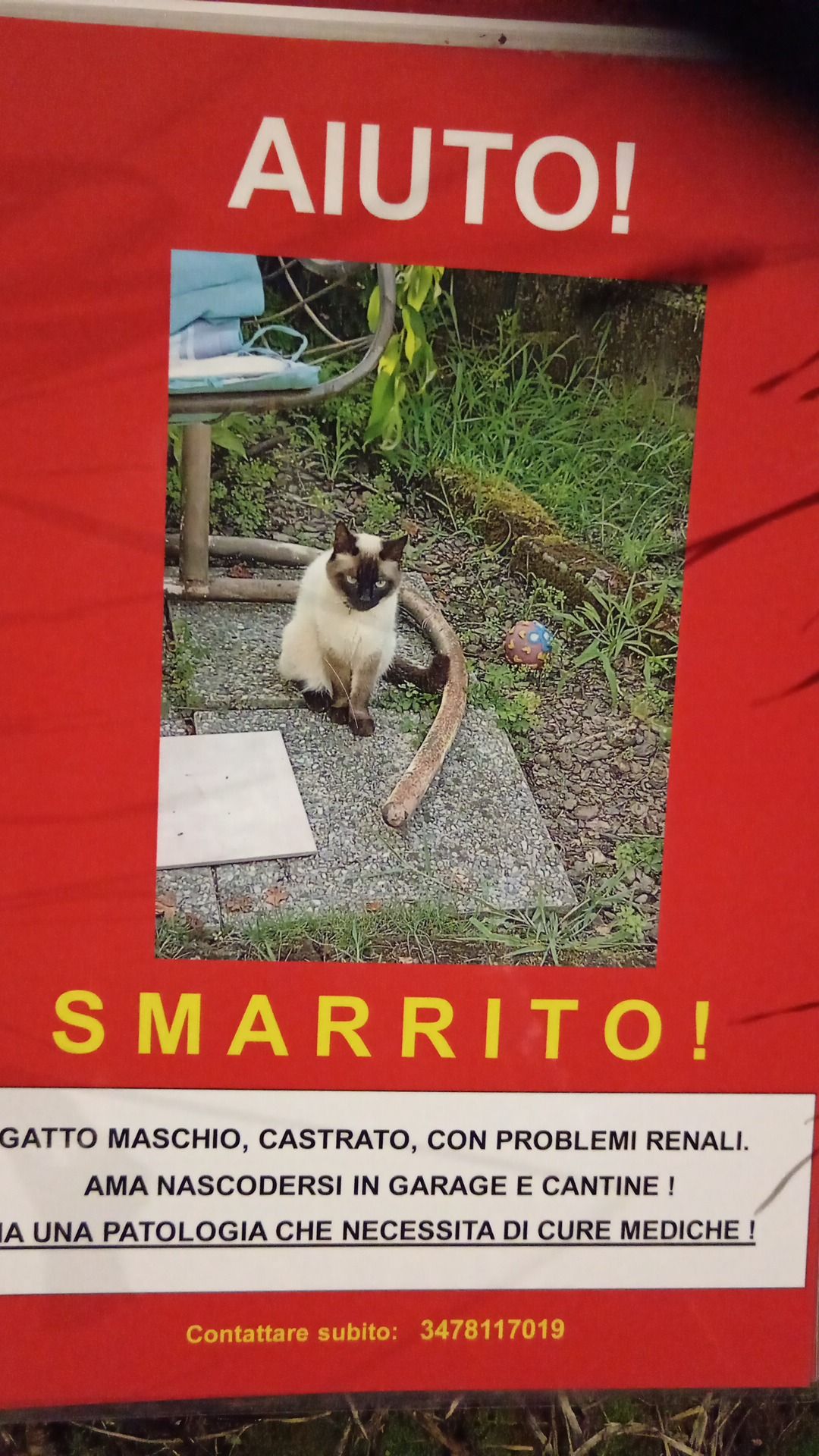 Leo - Via Ettore Majorana, Correzzana