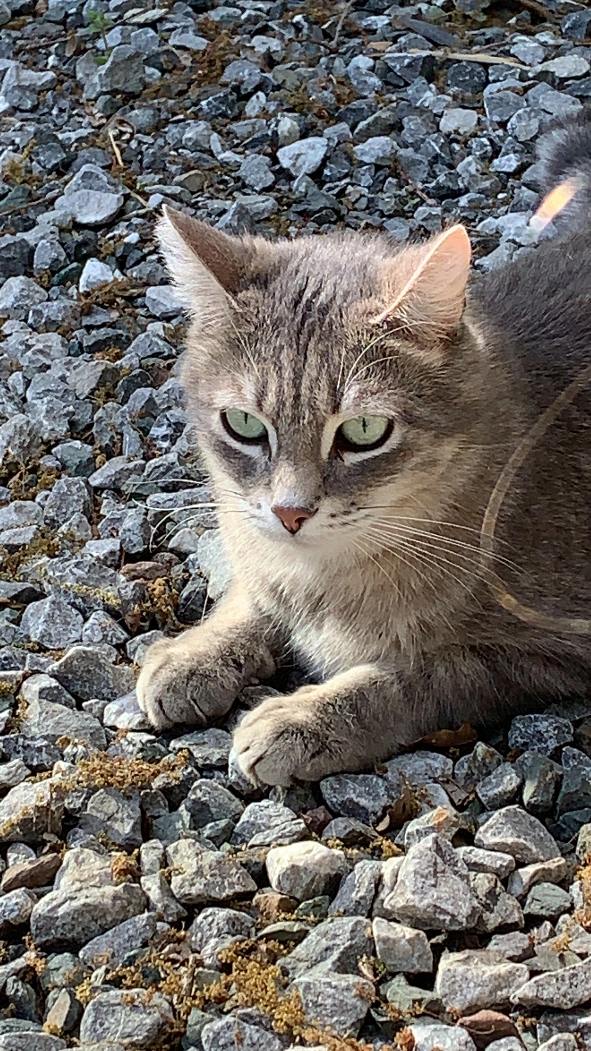 Obywann - 20 La Chaussée, Lusanger