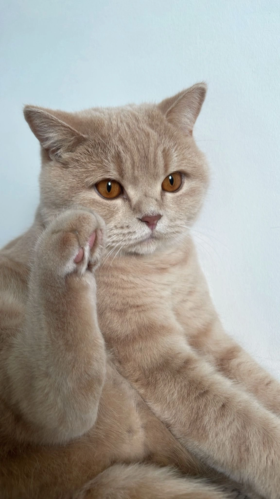 boo - Guferweg, Göfis