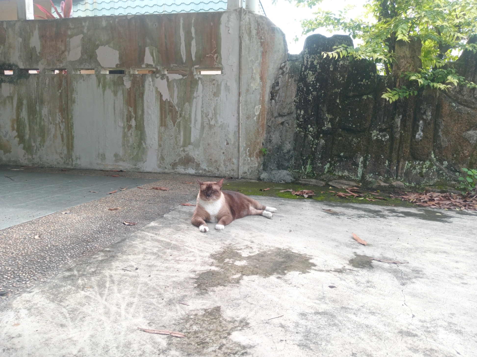 Momok - Jalan Ketapang, Taman Tasek