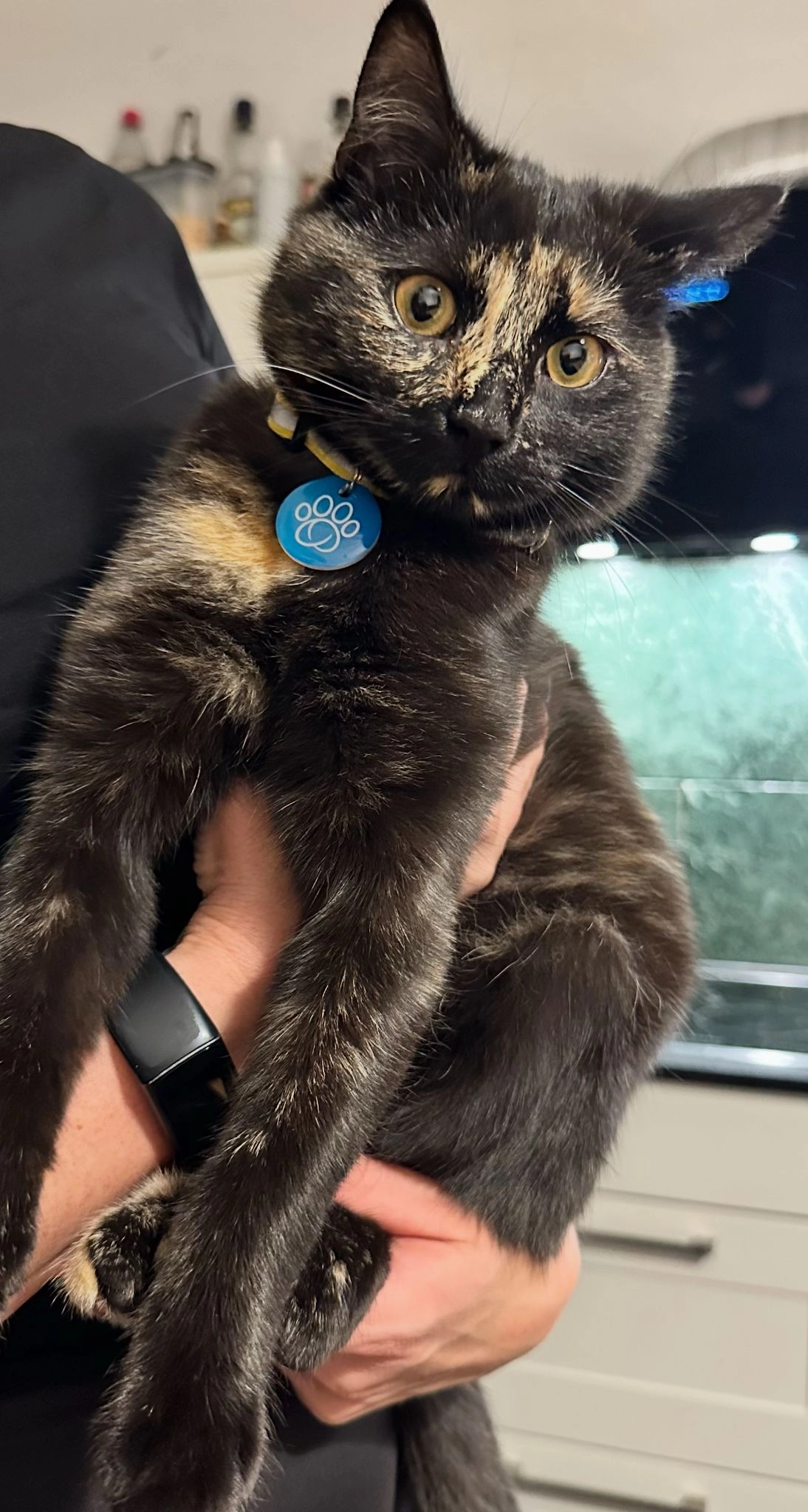 Schoki - Bairbach 3, Telfs