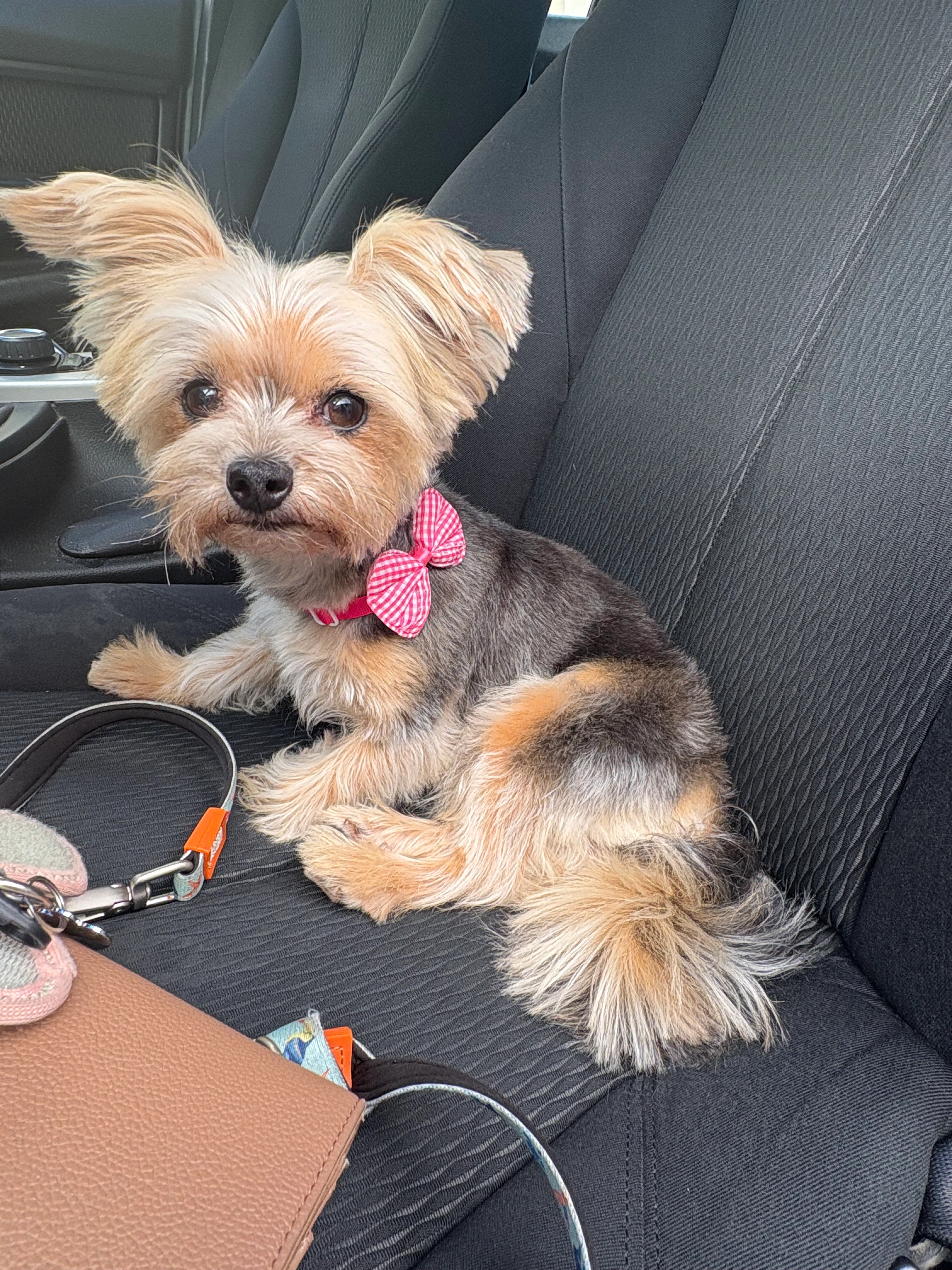 Coco  - 12.-November-Straße 24, Klagenfurt am Wörthersee