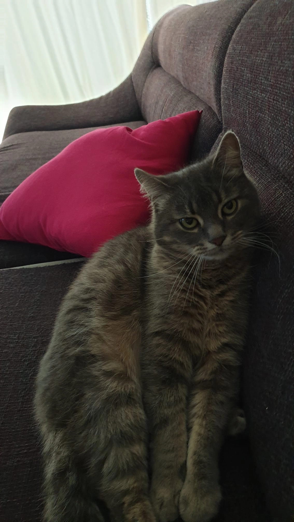 Günny - Antonsgasse, Erftstadt