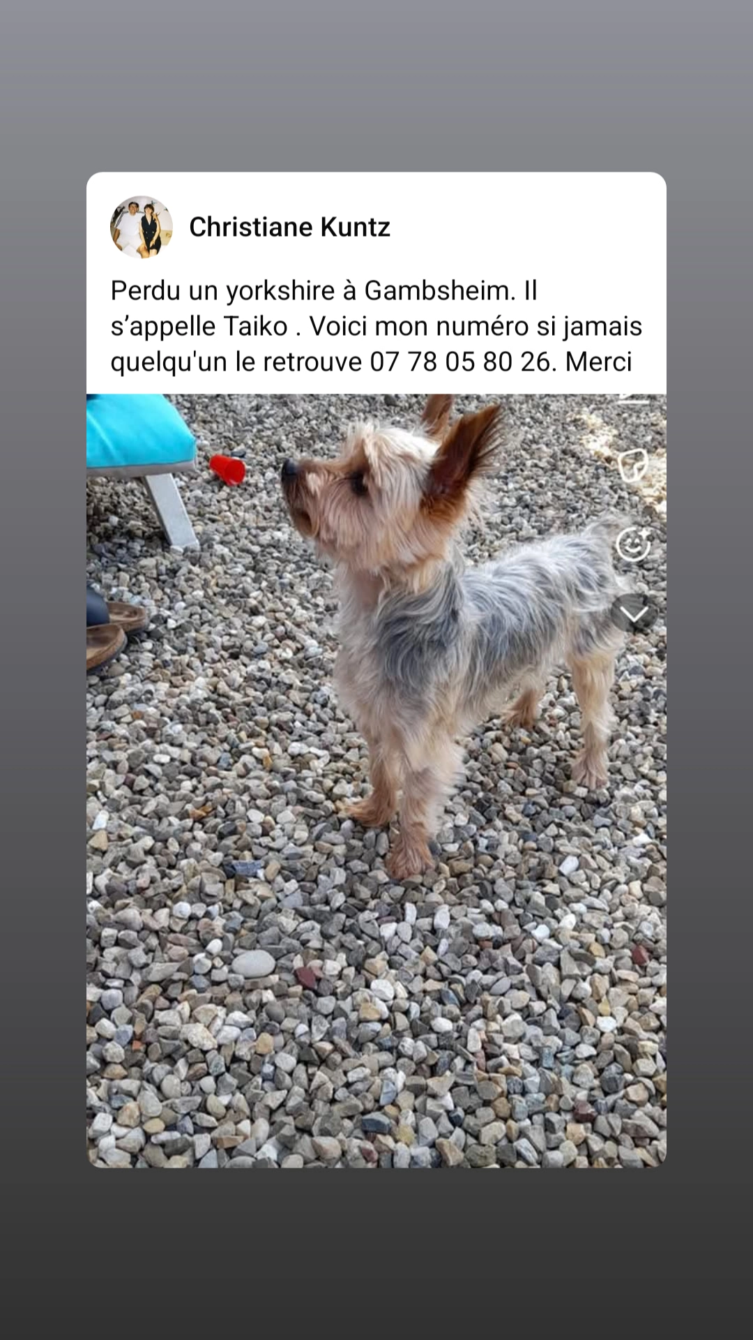 Taiko - 31 Rue du Maréchal Leclerc, Gambsheim