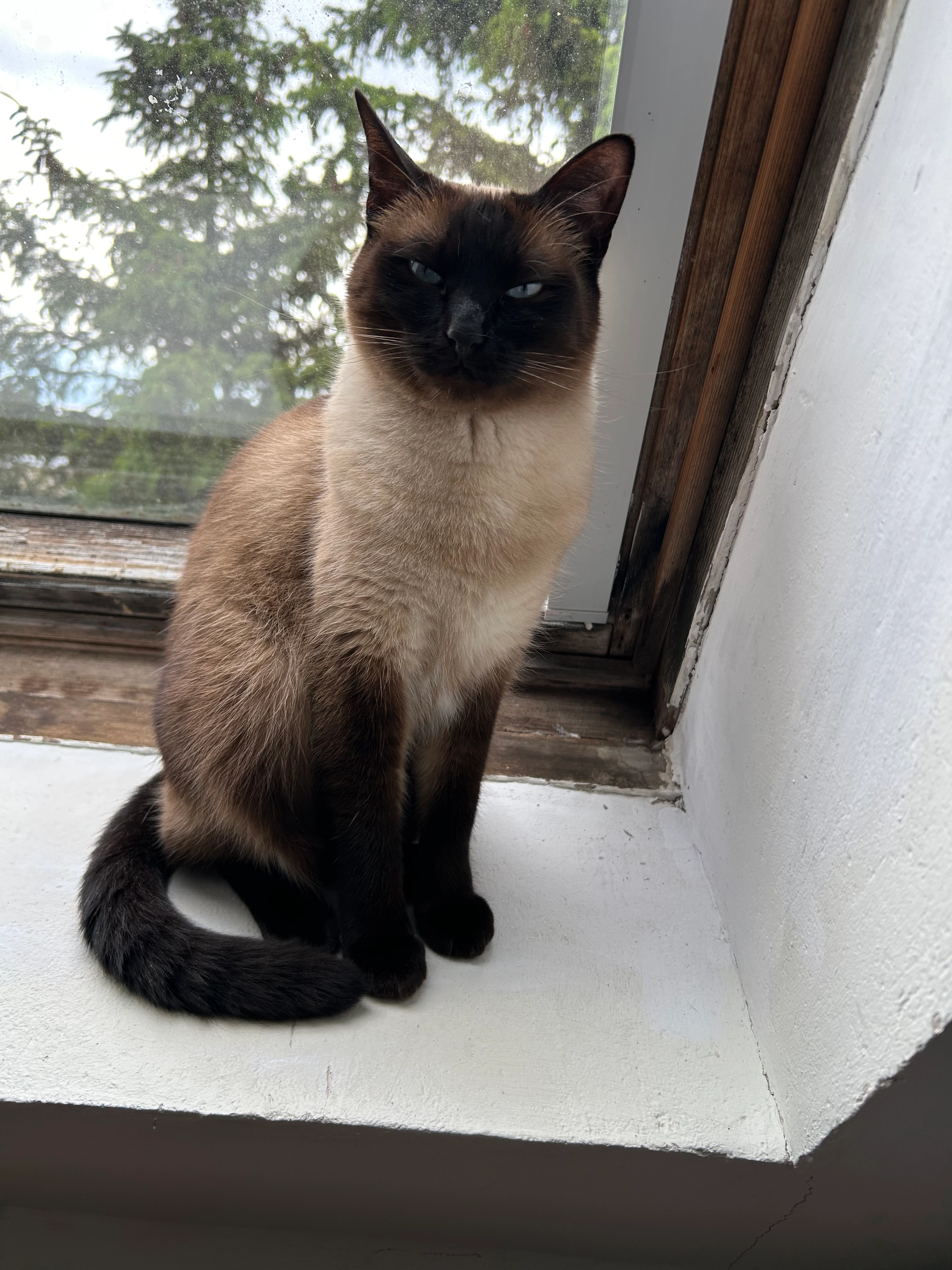 Mila - Basedowstraße, Magdeburg