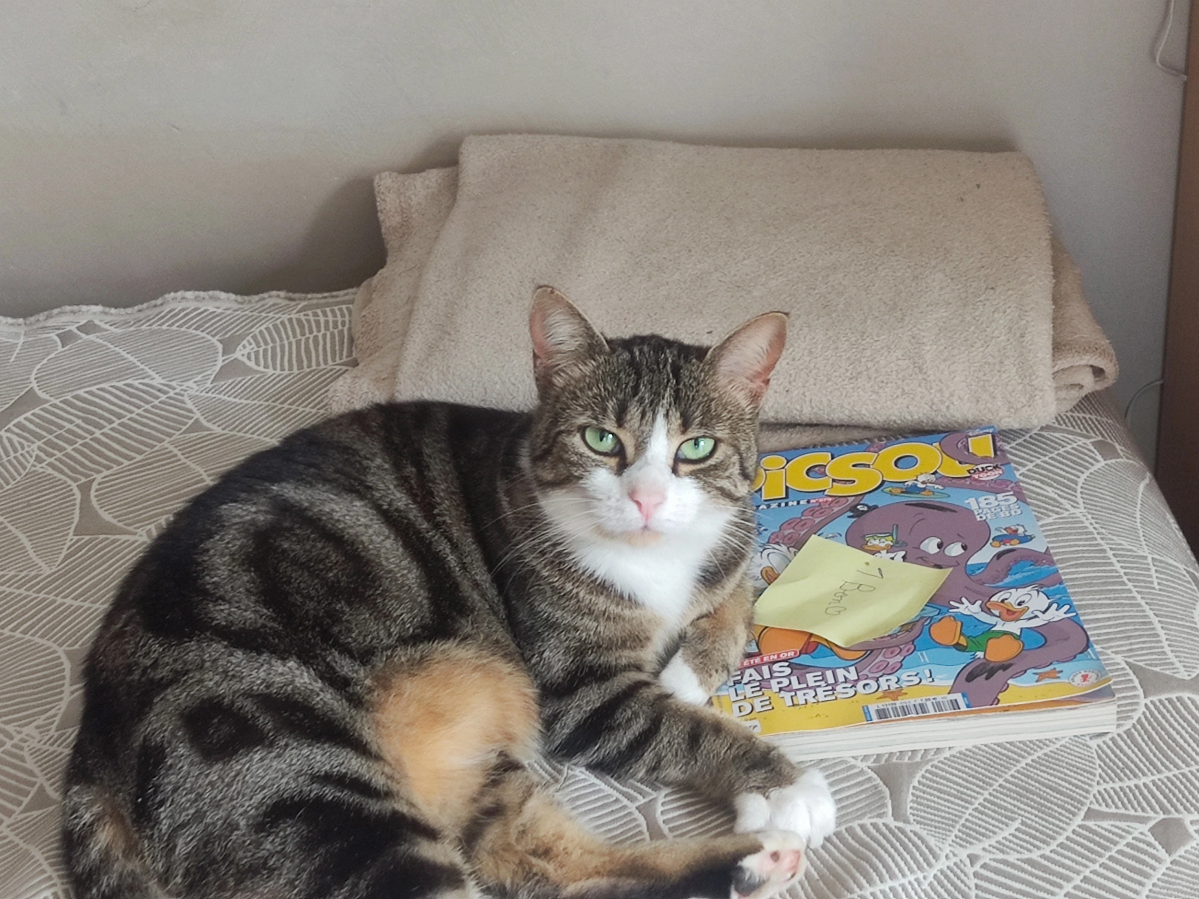 Plumette  - Rue Du Champ Laitier, La Roche-sur-Foron