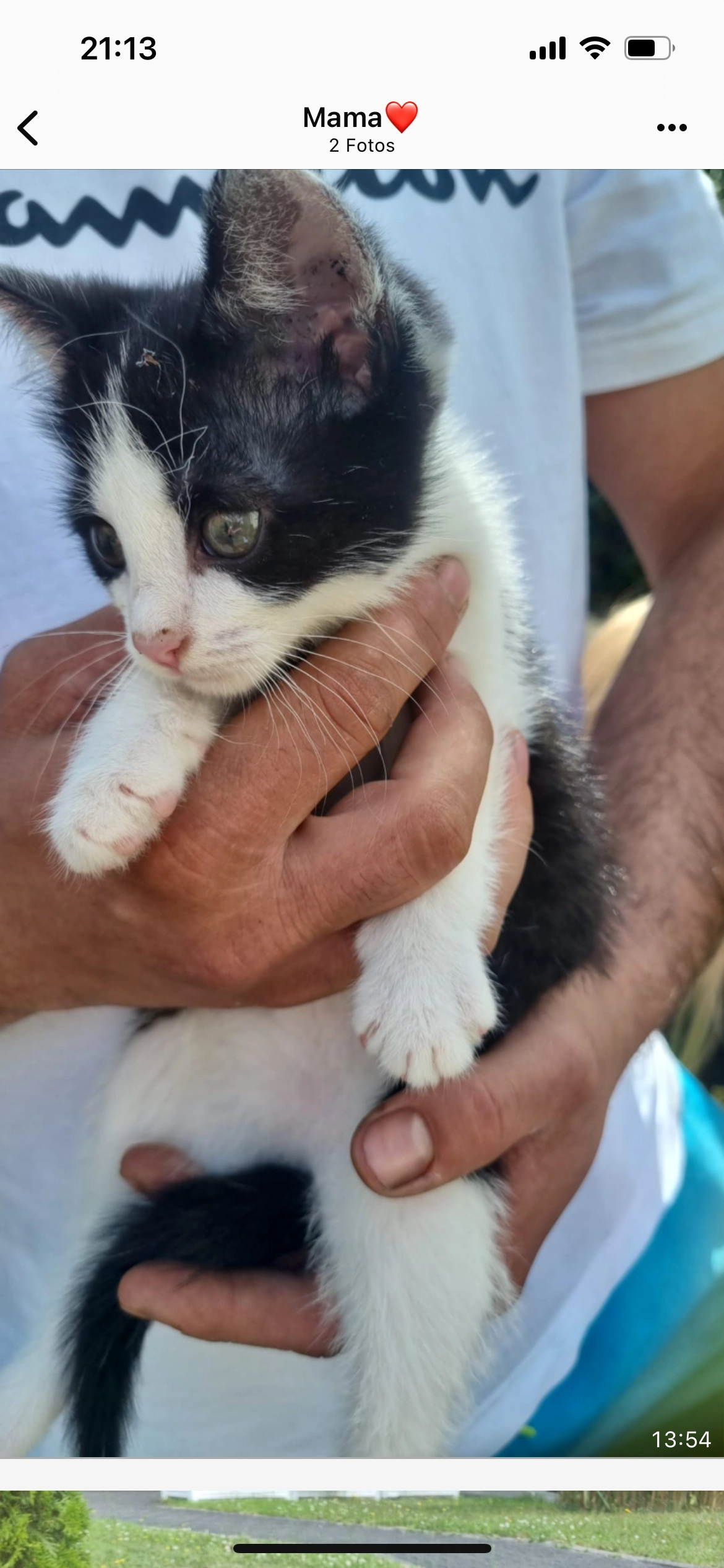 Gehört meinem Nachba rund sie - Am Schweizersberg, Saarbrücken