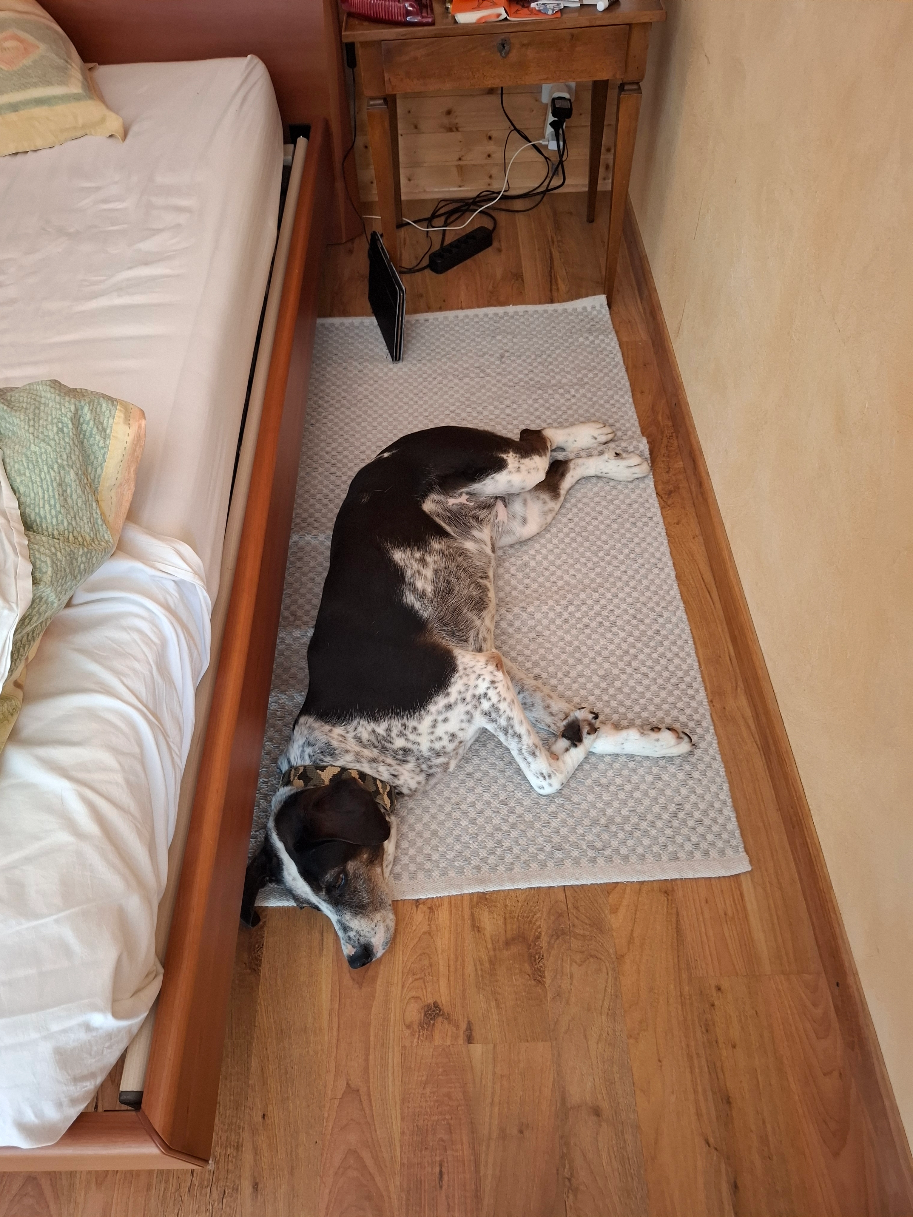 Ayla - Rue de l'Eglise 10, Vullierens