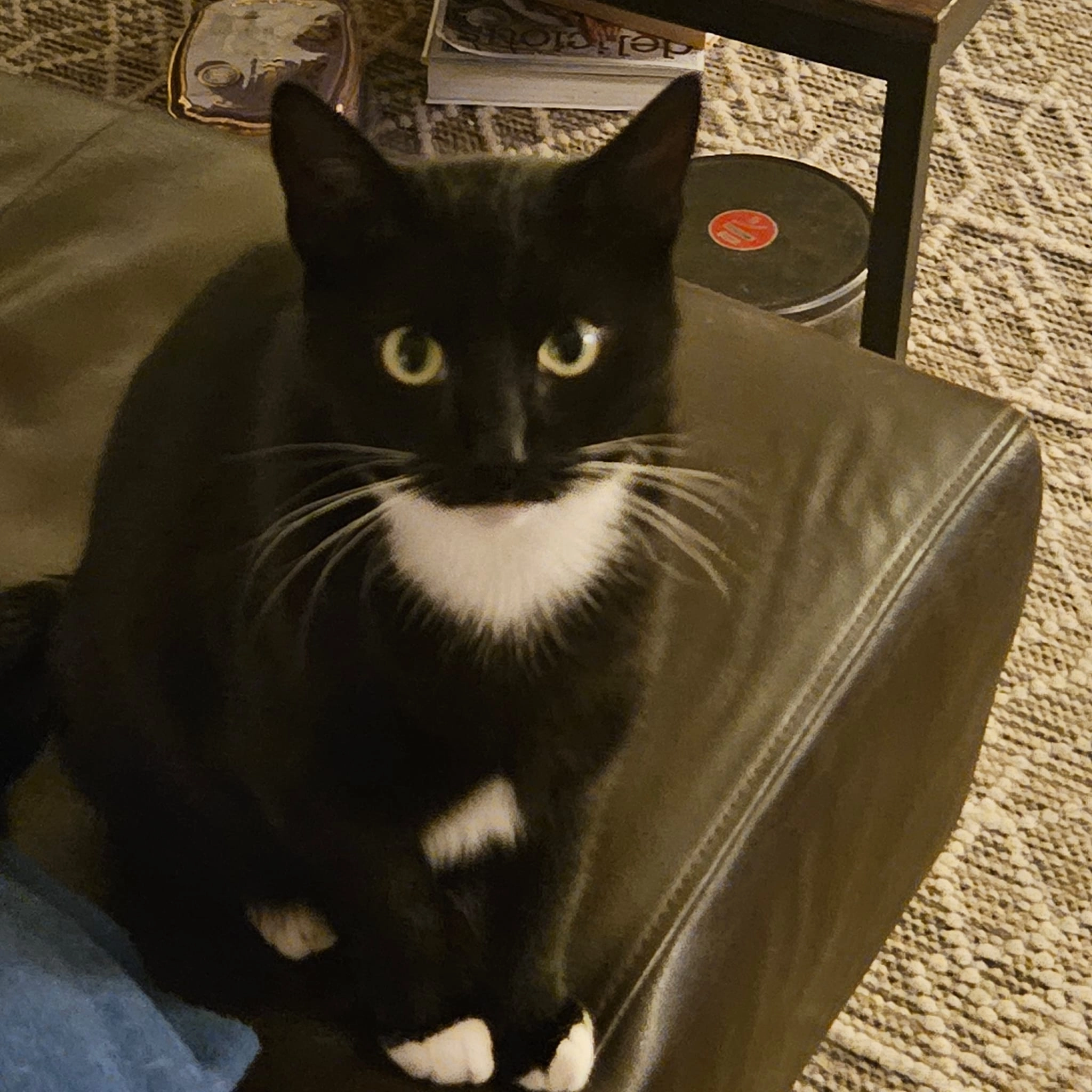 Abel - Geert Grootestraat, Eindhoven