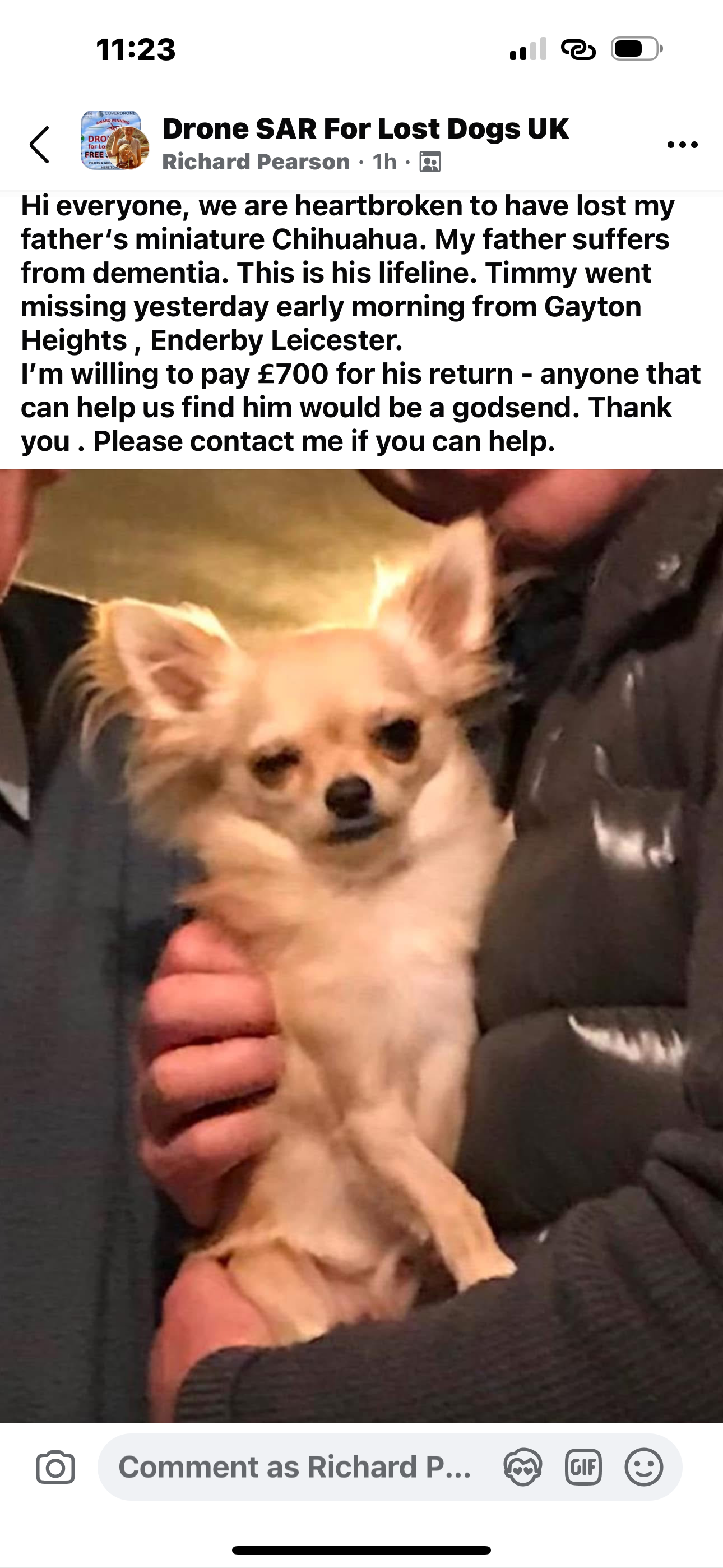 Timmy - Gayton Heights, Leicester