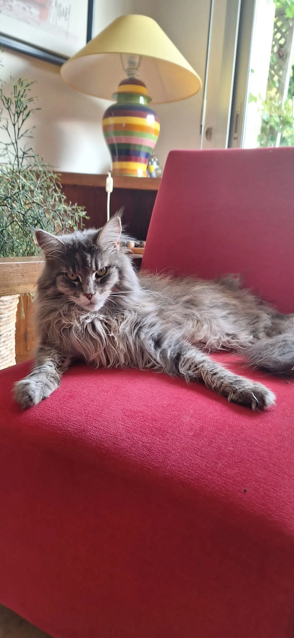 Ulie - Chemin de Kerlosquen, Fouesnant