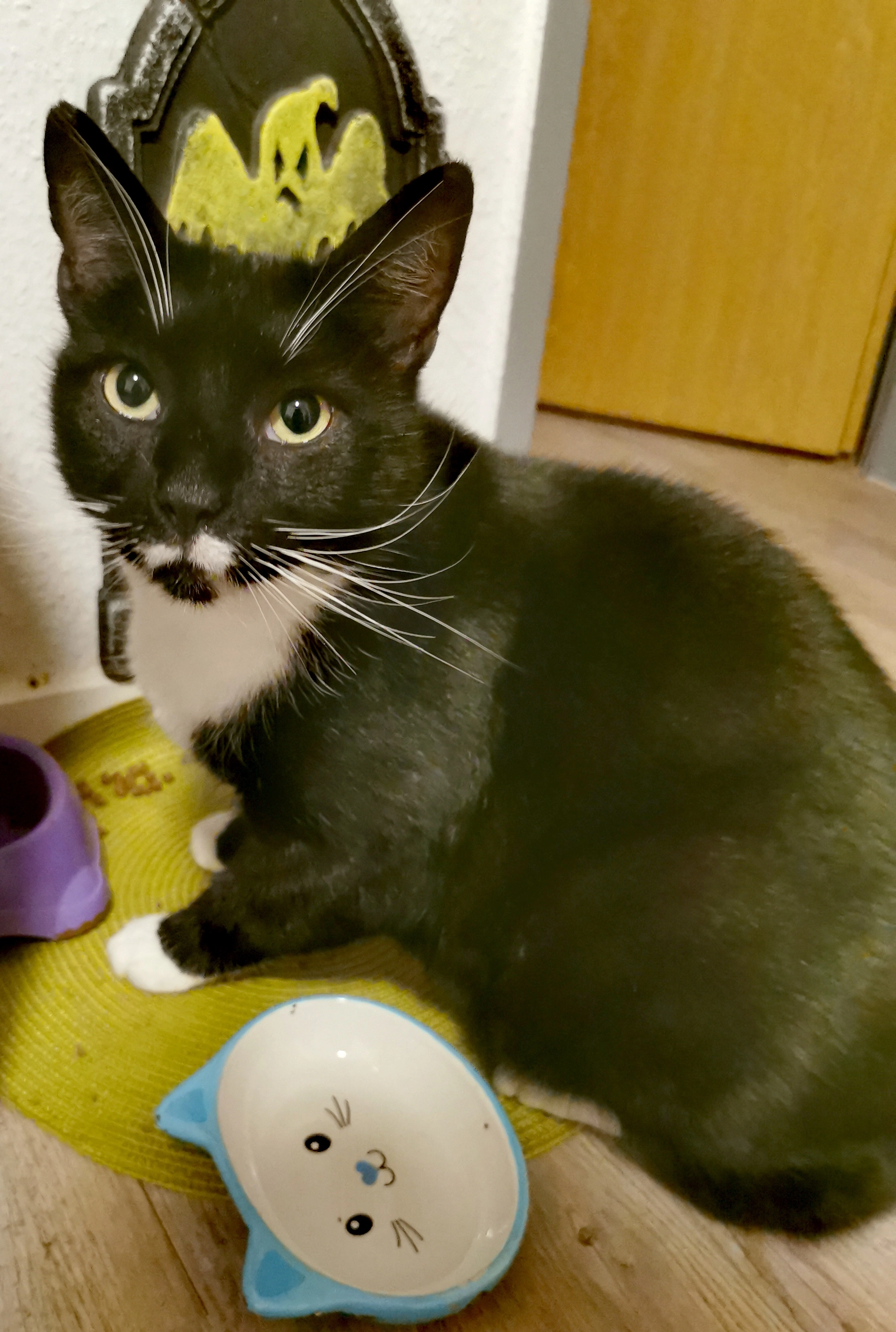 Findus - Färberweg, Herford