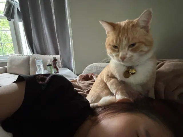 Miao mi - Savanna Dr, Shakopee
