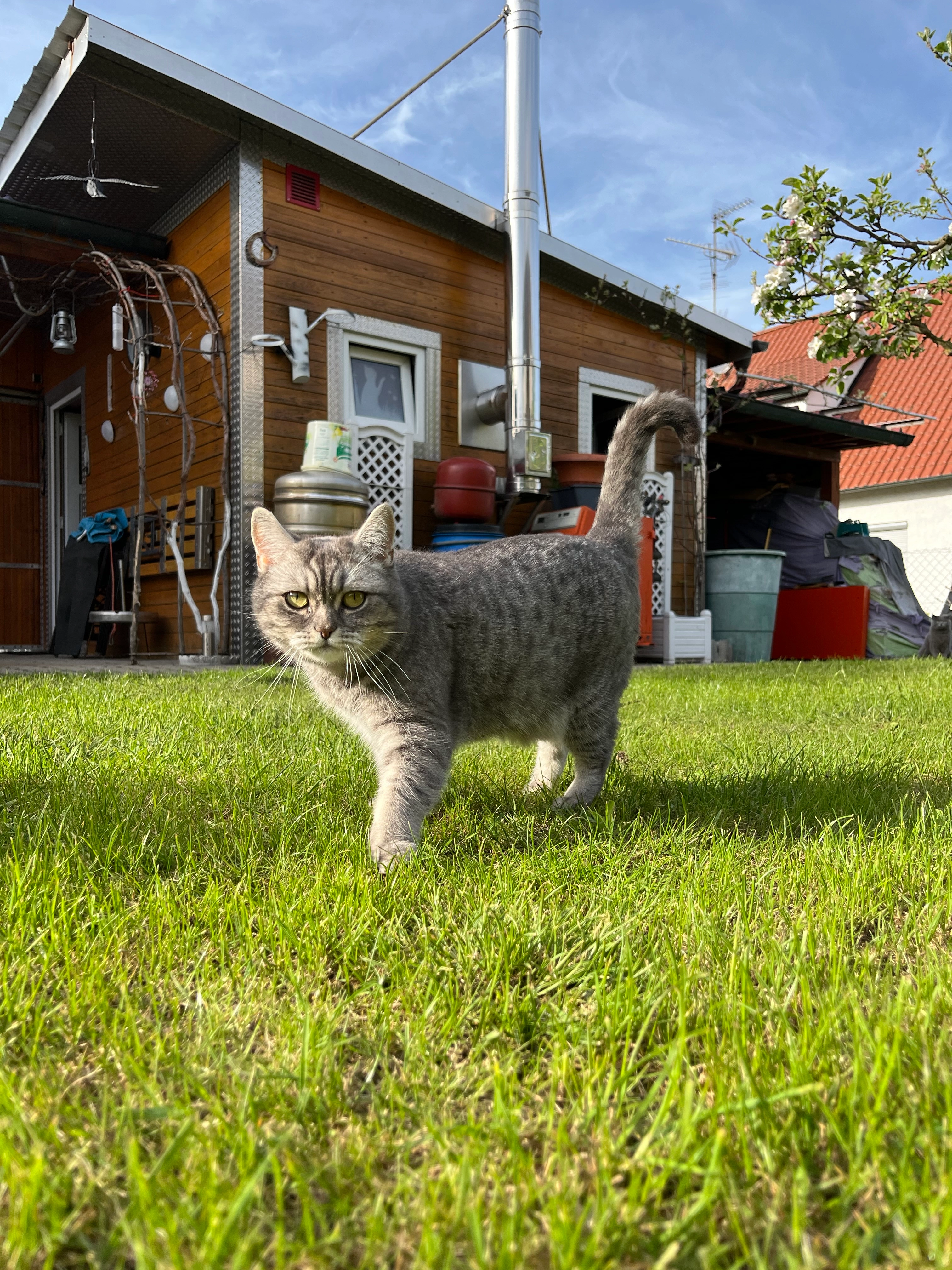 Lera - Schloßhaldenring, Leipheim