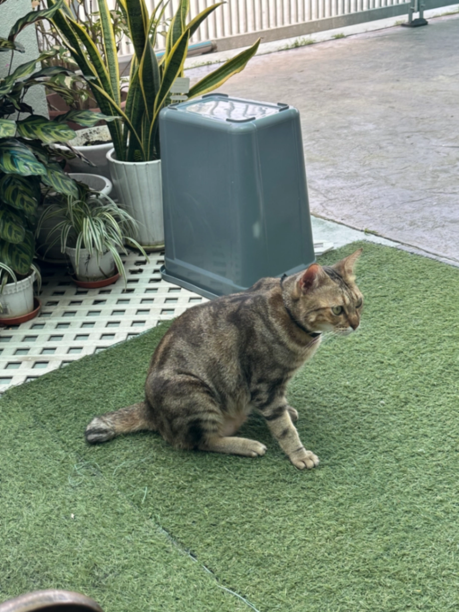 Coby - Jalan Panglima Awang 35/113, Klang