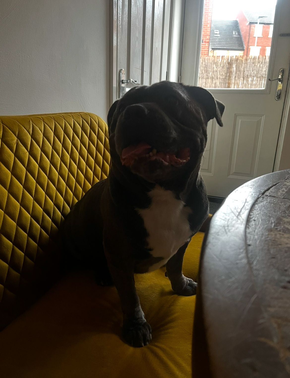 mutley - Long Pye Close, Barnsley