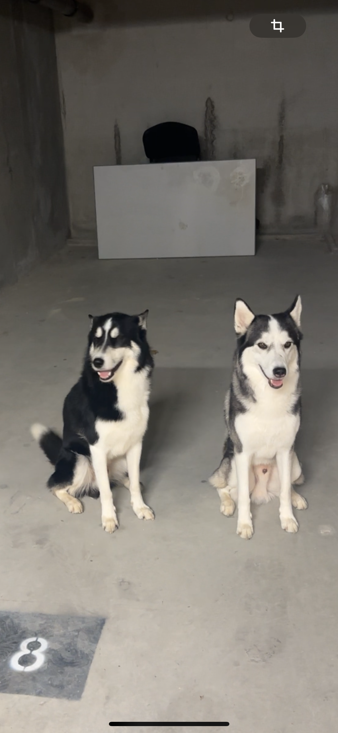 Pago et poupy - Rue de La Balme, Saint-Martin-le-Vinoux