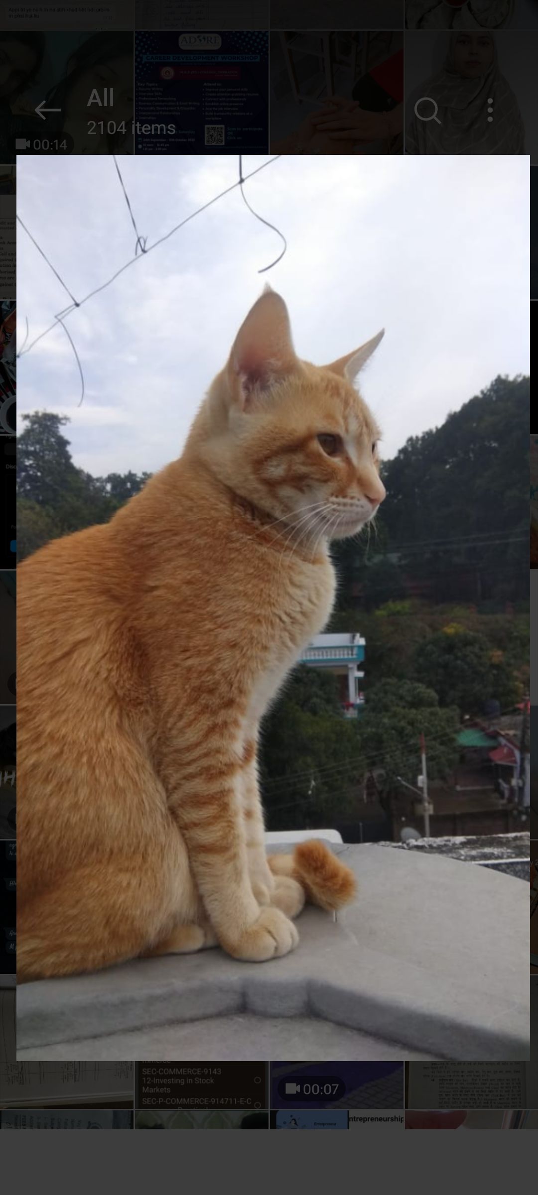 Mary - Shiv Puri Colony Road, Adhoiwala