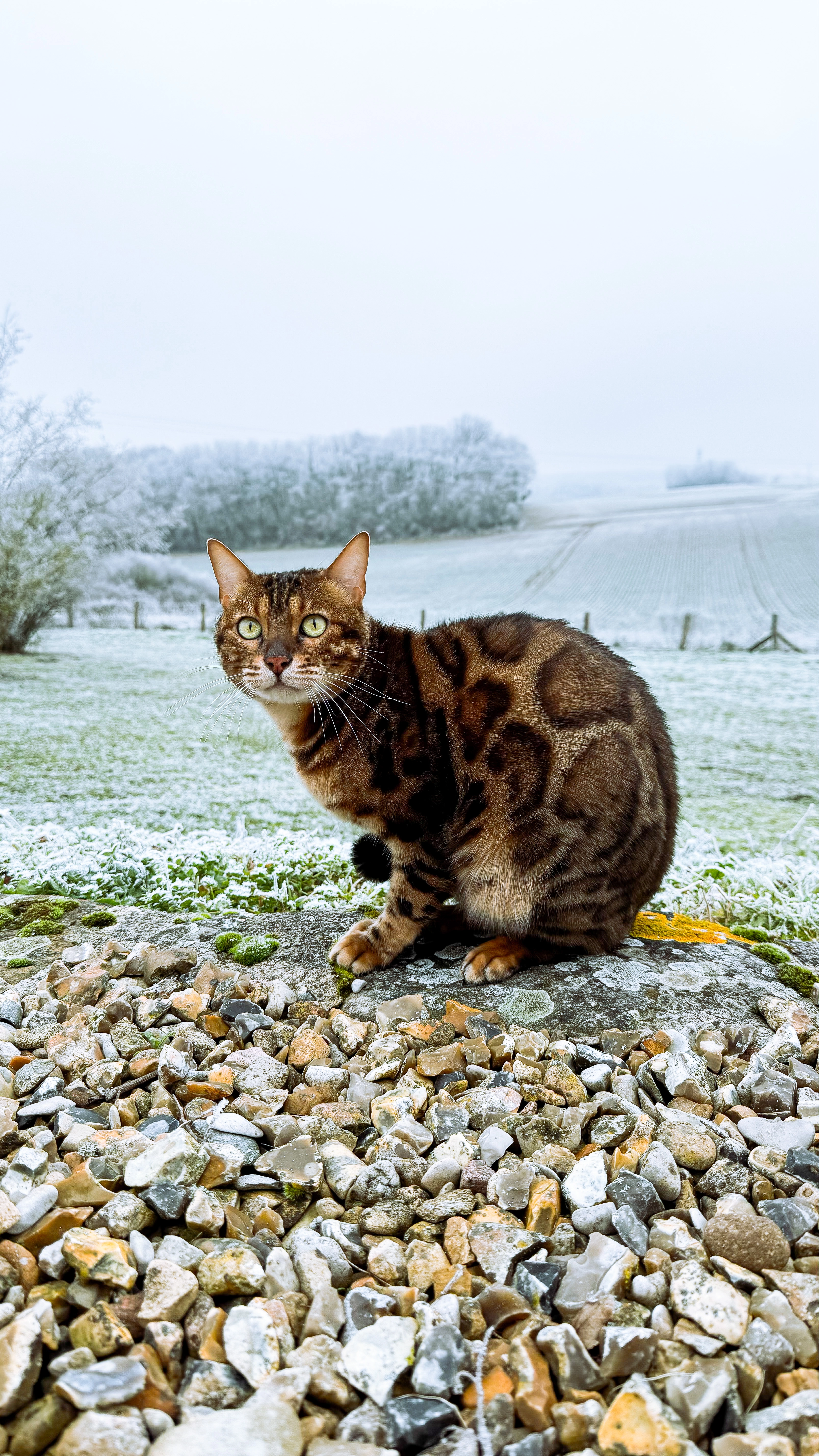 Potte - 5 Rue Saint-Hermentaire, Marseille