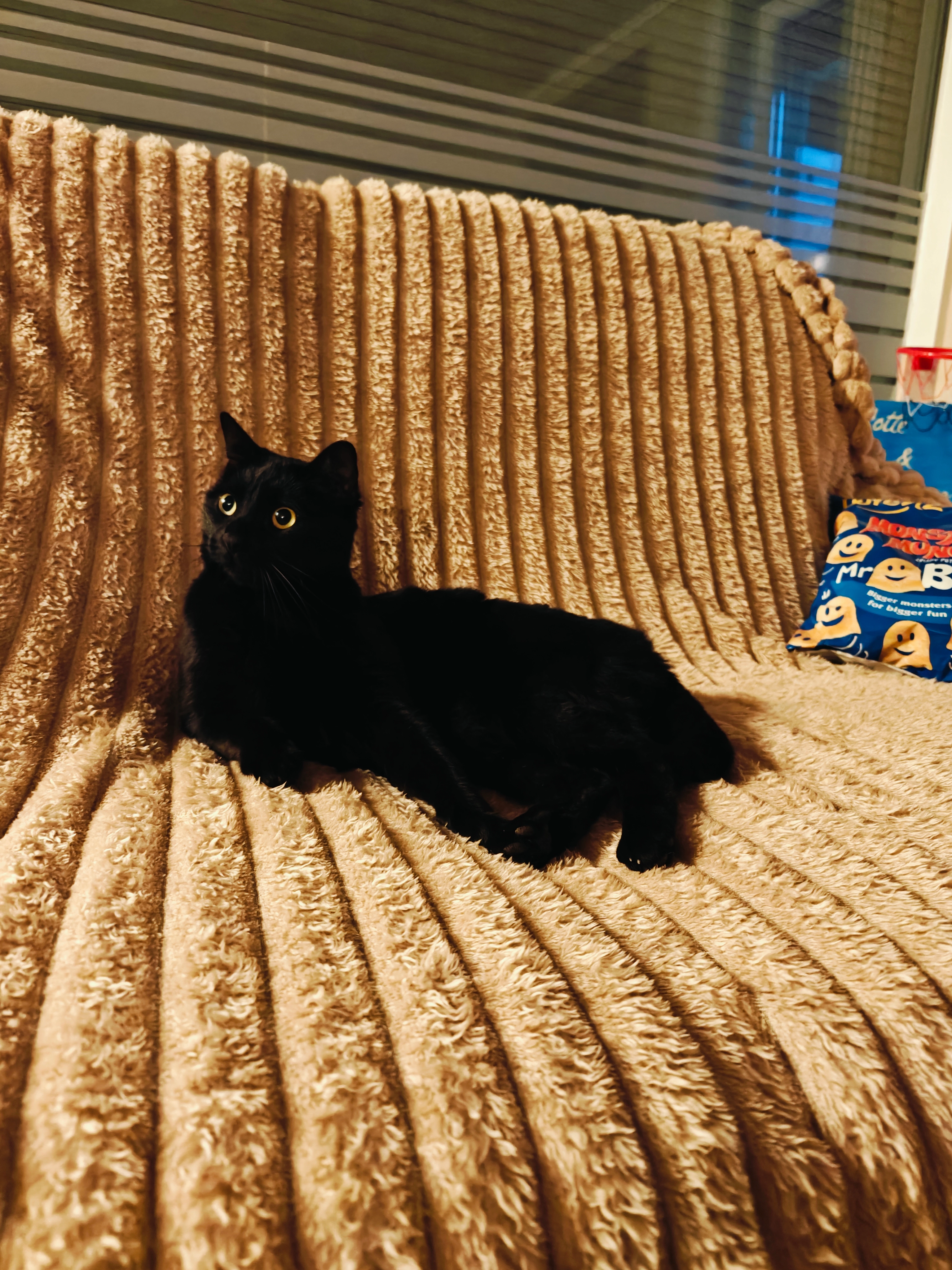 Pitou  - Oude Molenweg, As