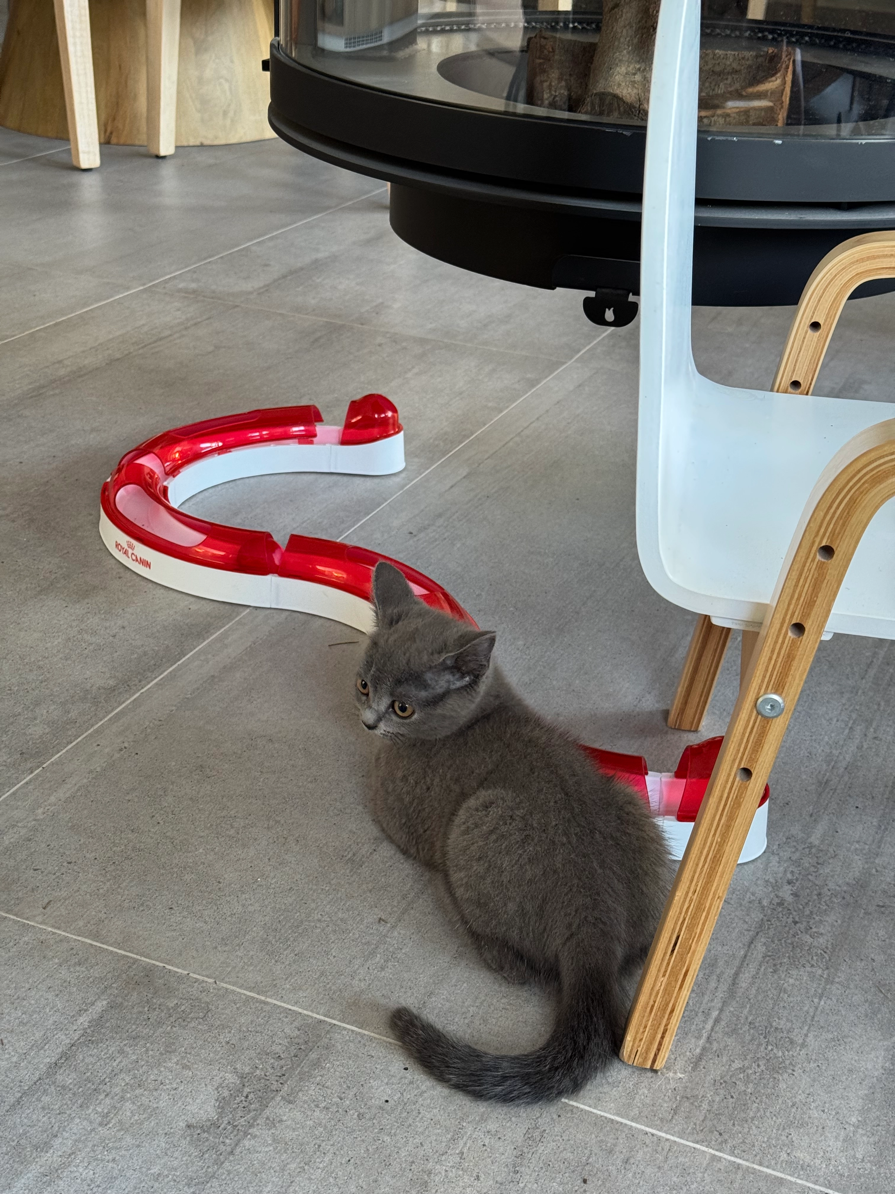 Sheila - Camí De Les Alqueries, Dénia