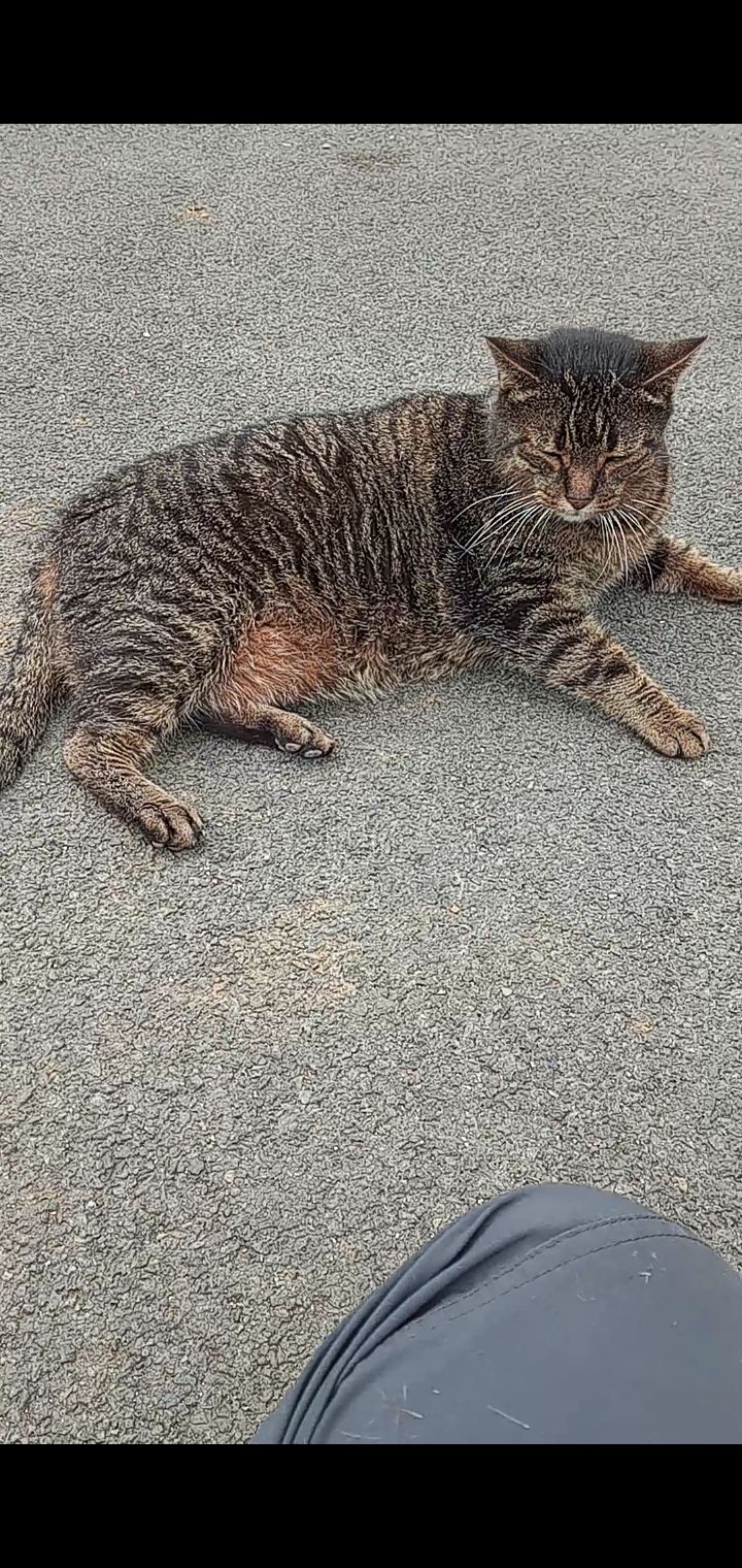 Marius - Route Royale, Mouzon