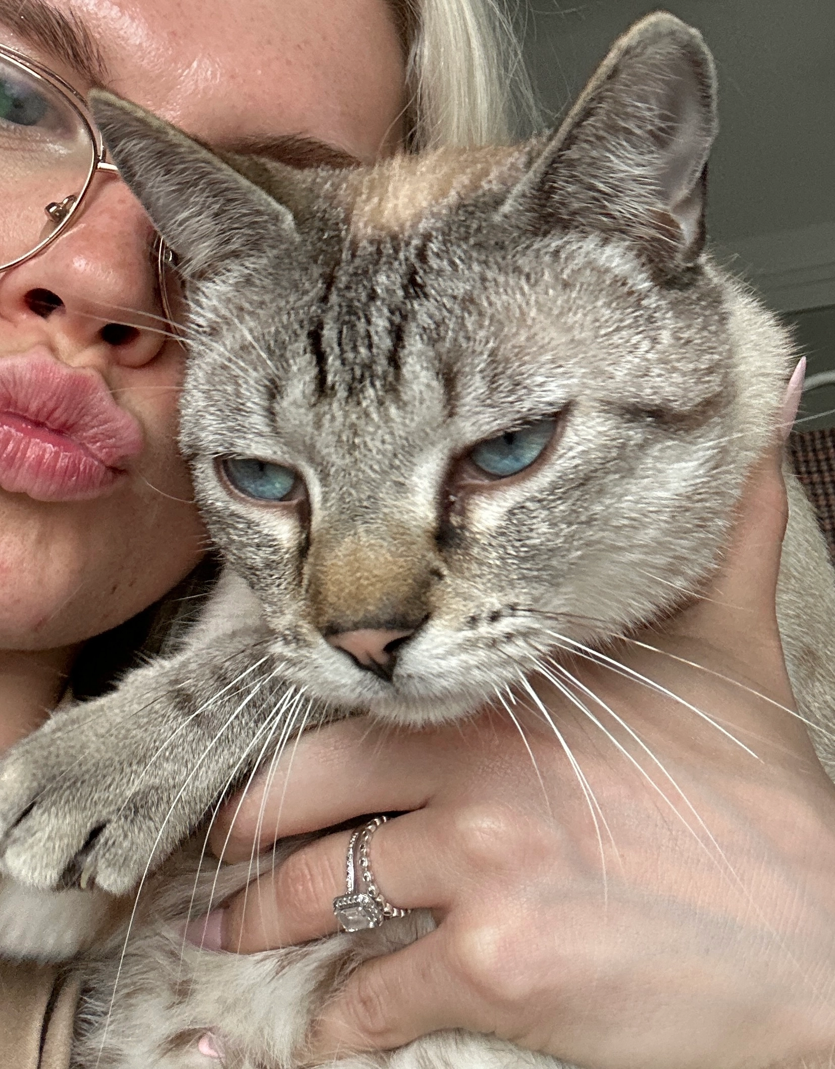 Orion - Rue des Quatre Tilleuls, Houdan