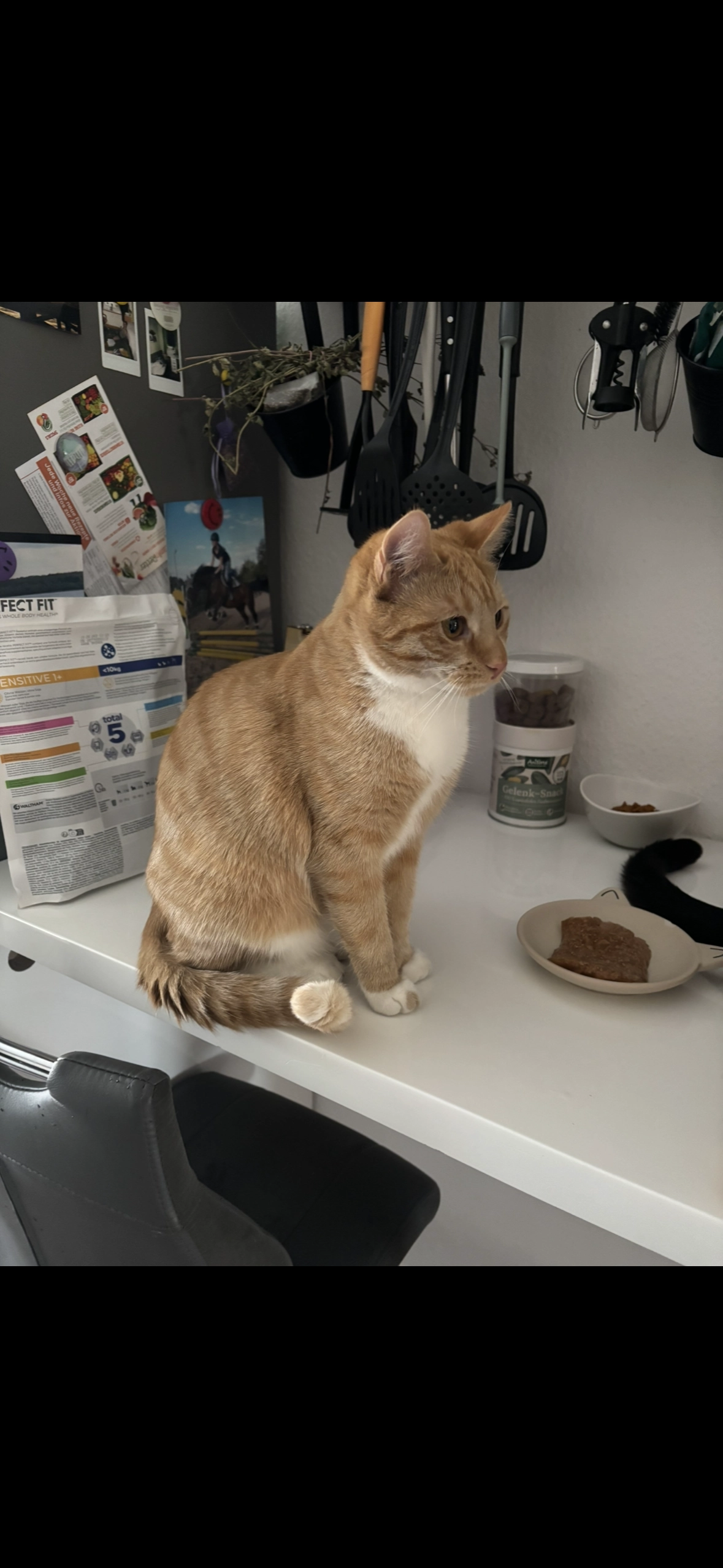 Luna - Teichstraße 6, Löbnitz