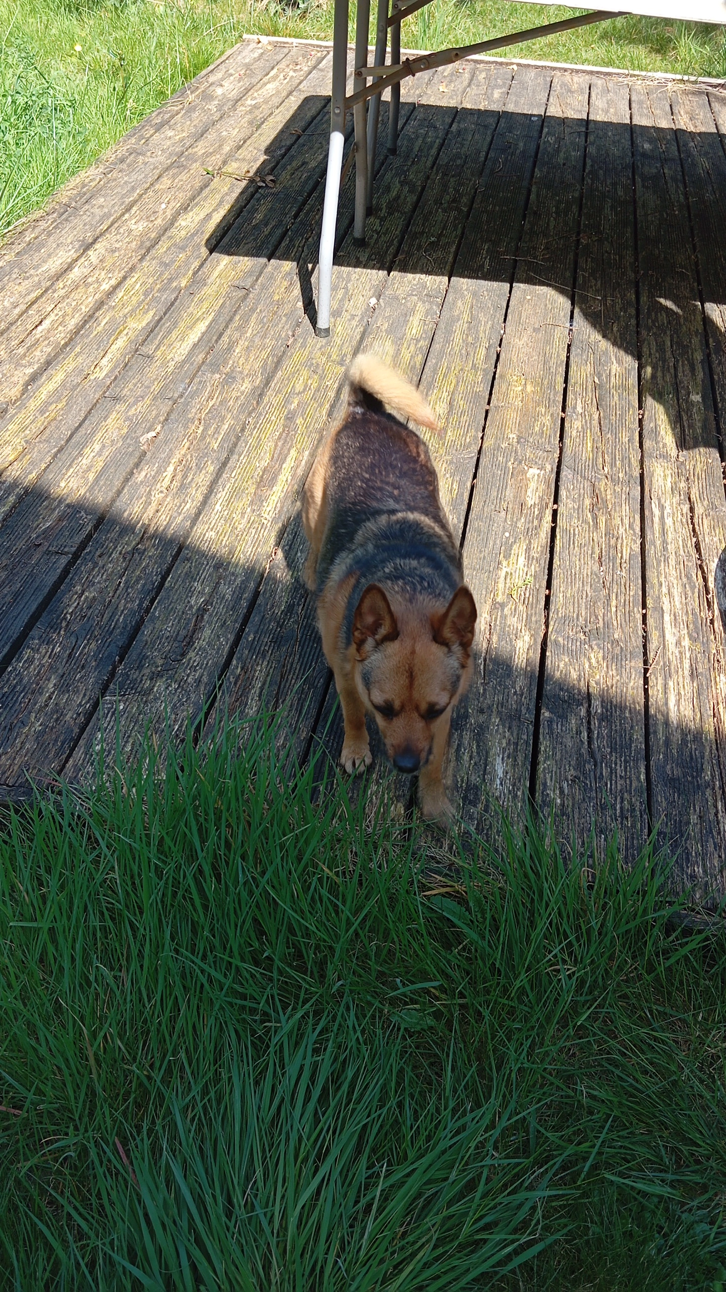 Perle - Rue Théophile Guillou, Saint-Herblain