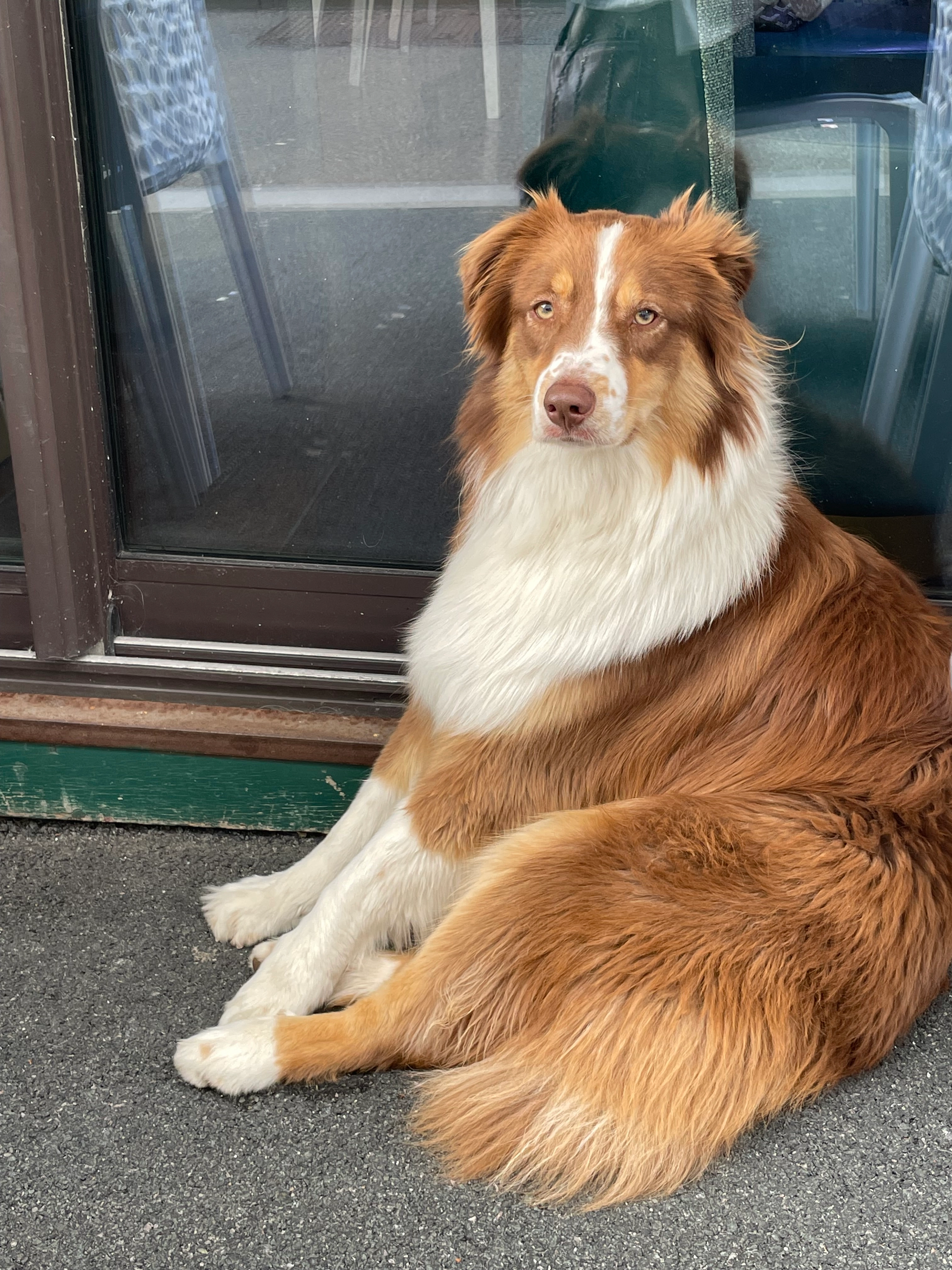 Bailey - Impasse de Marbella, Biarritz