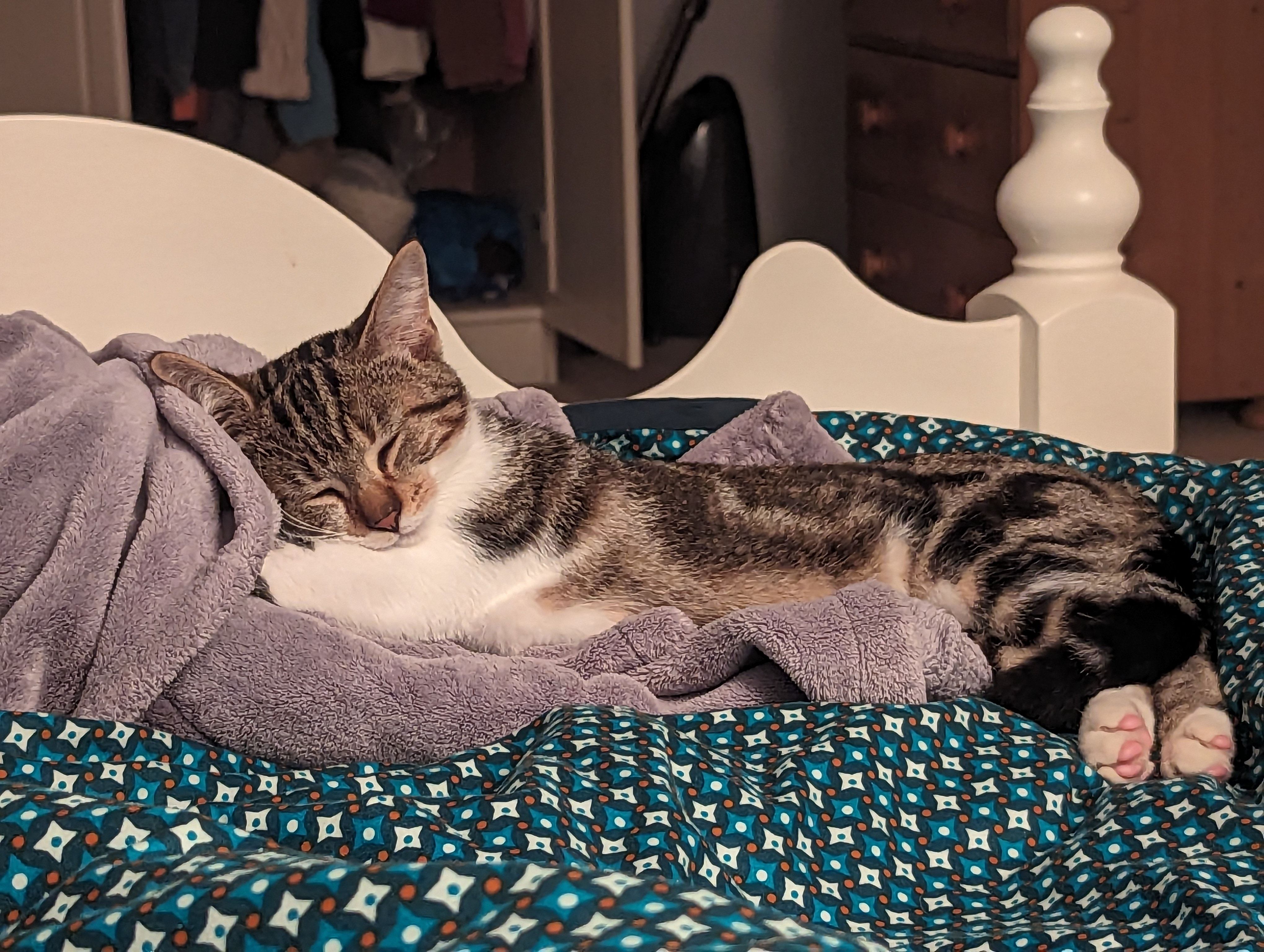 Eustache - Pont Plouzen, Lézardrieux