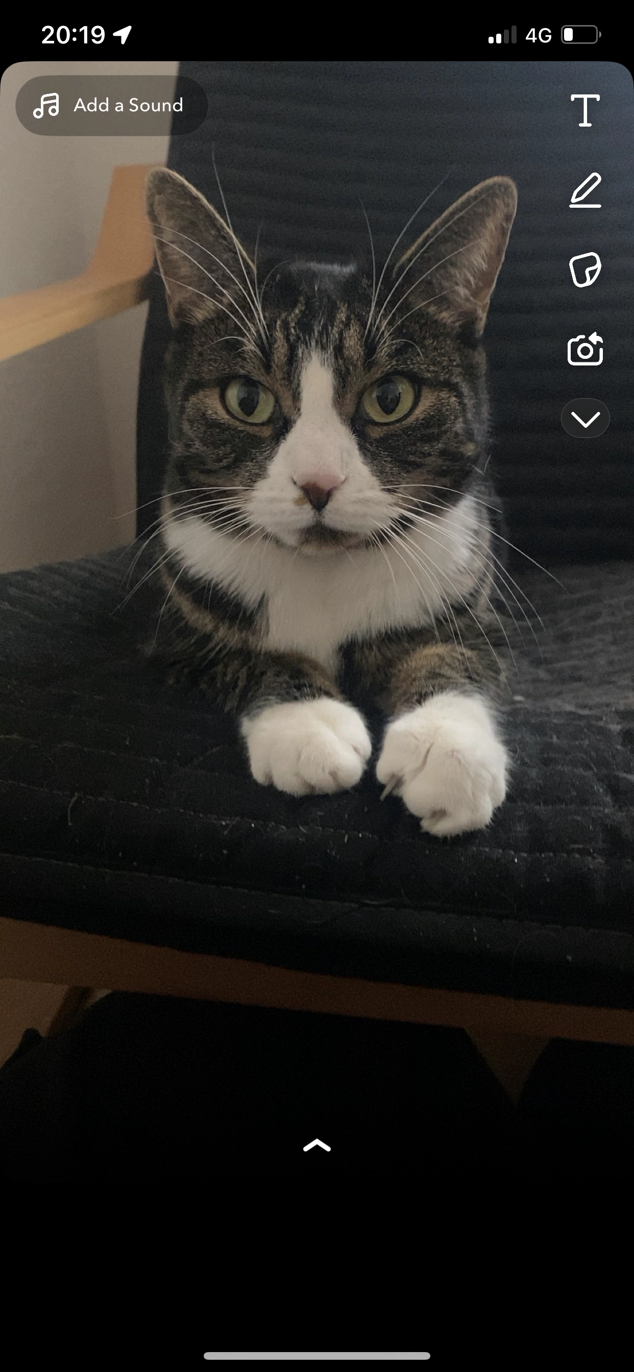 Tequila - Hohlestrasse, Belp