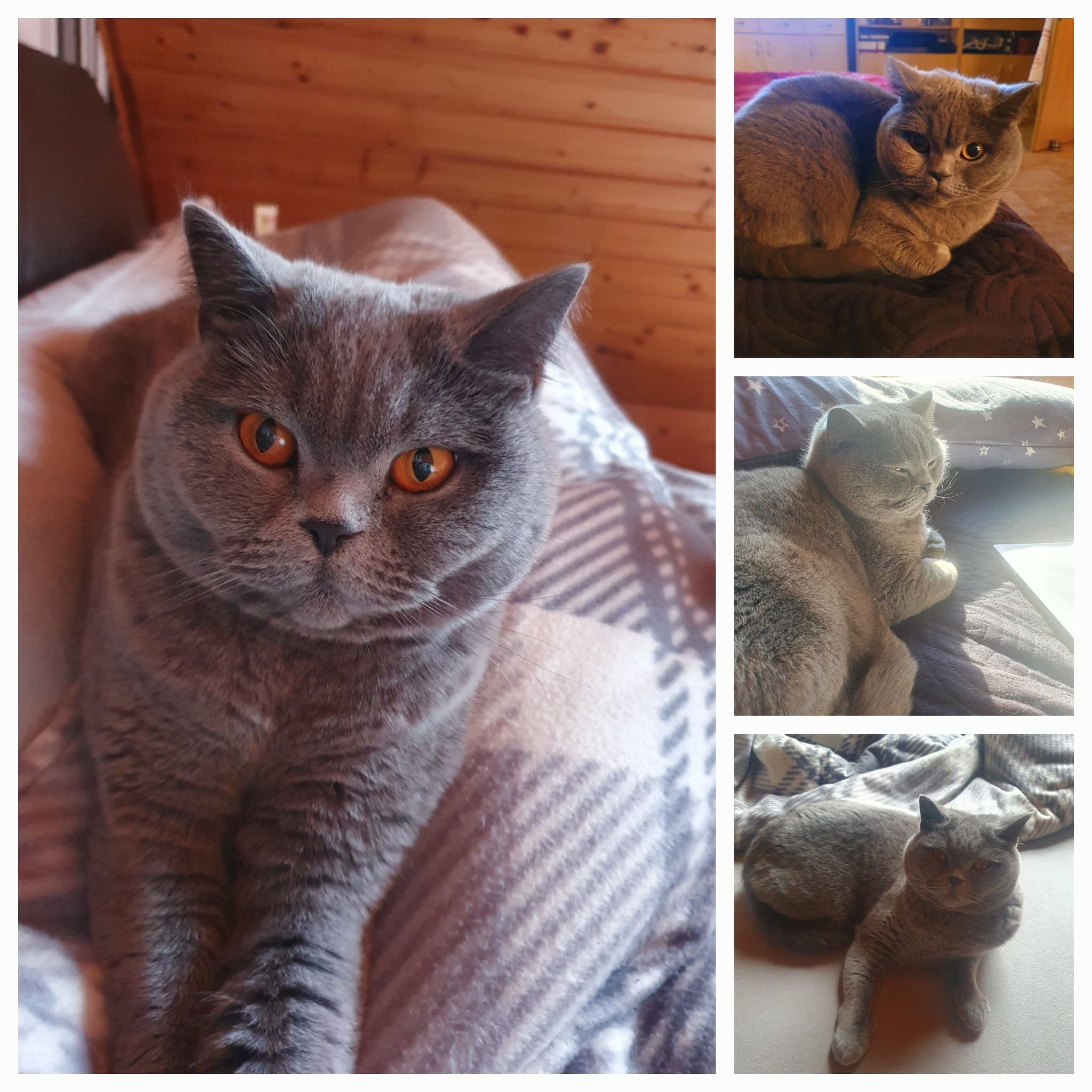 Mila - Bohnerzstraße, Syrgenstein