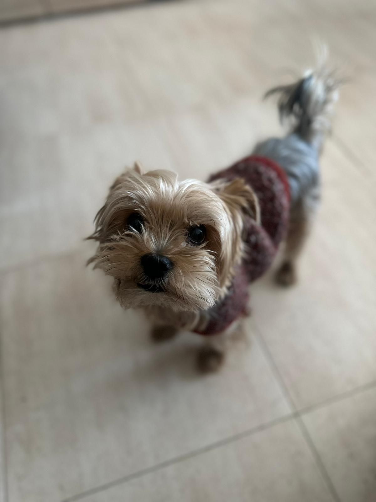 Gus  - Paseo de Santa María de la Cabeza 37, Madrid